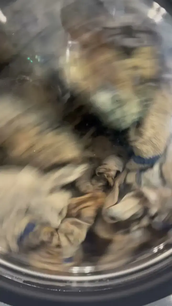 Laundry Hub - Image 2