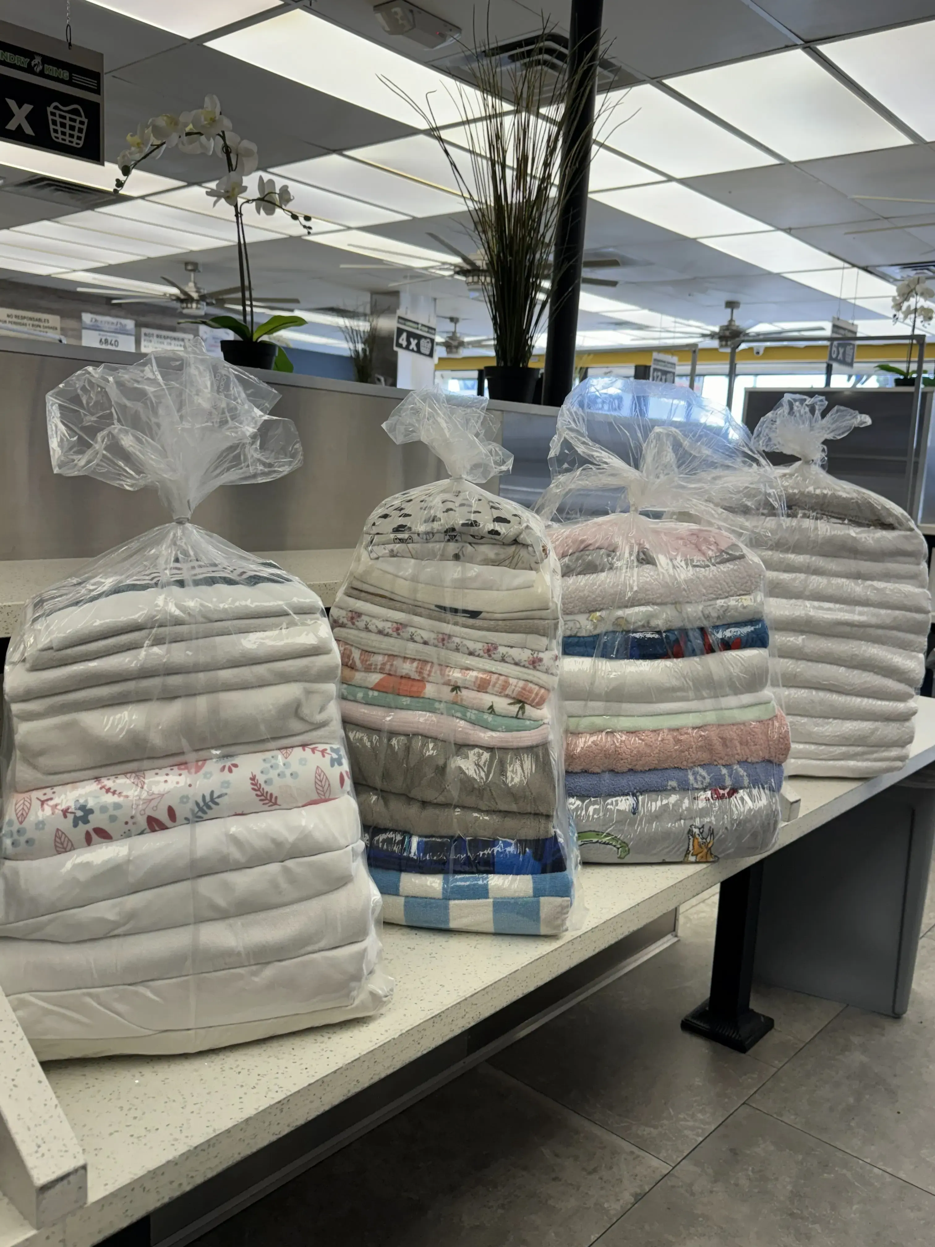 Laundry King - Image 2