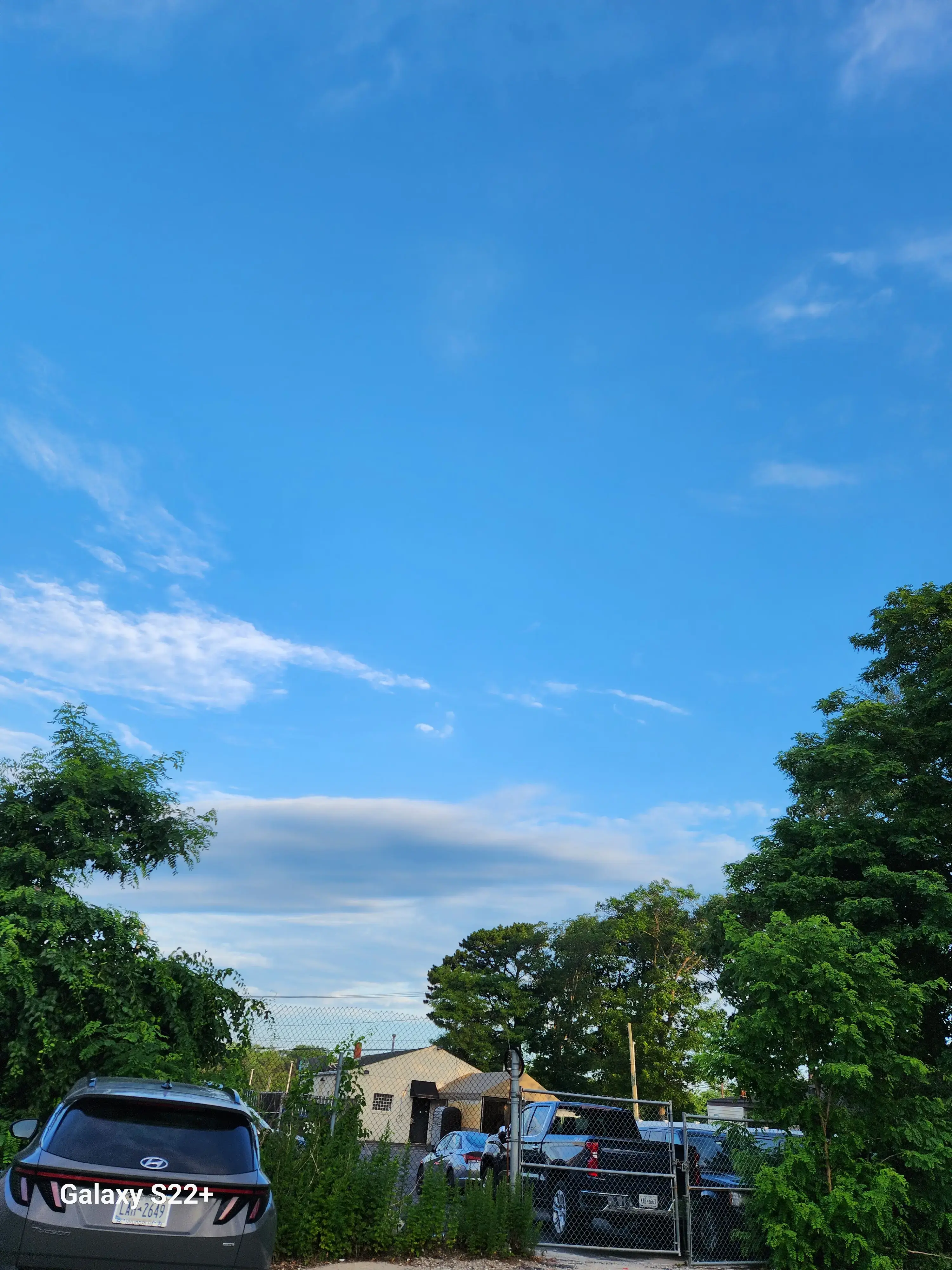 Laundry Kingdom - Image 4