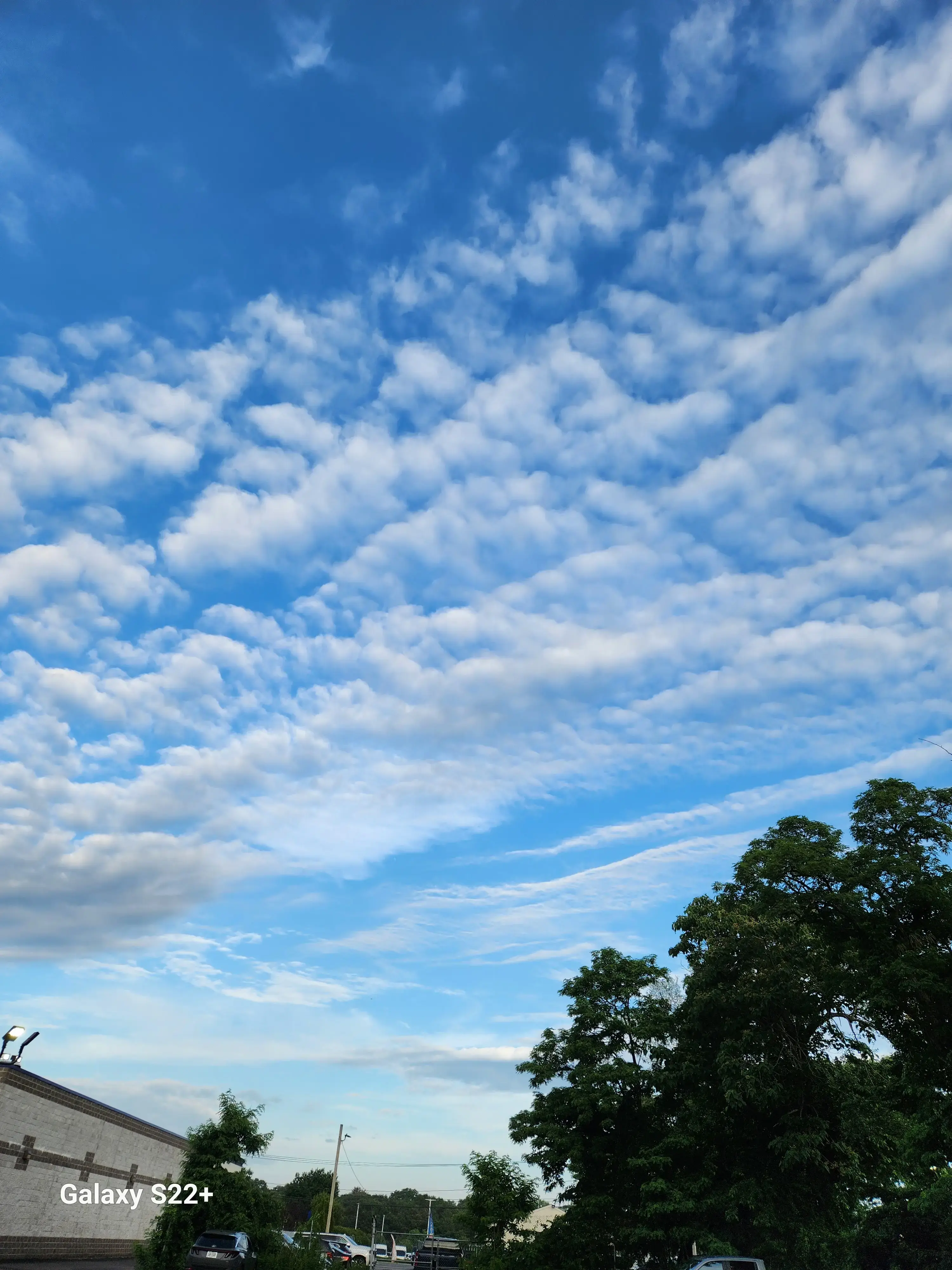 Laundry Kingdom thumbnail 8