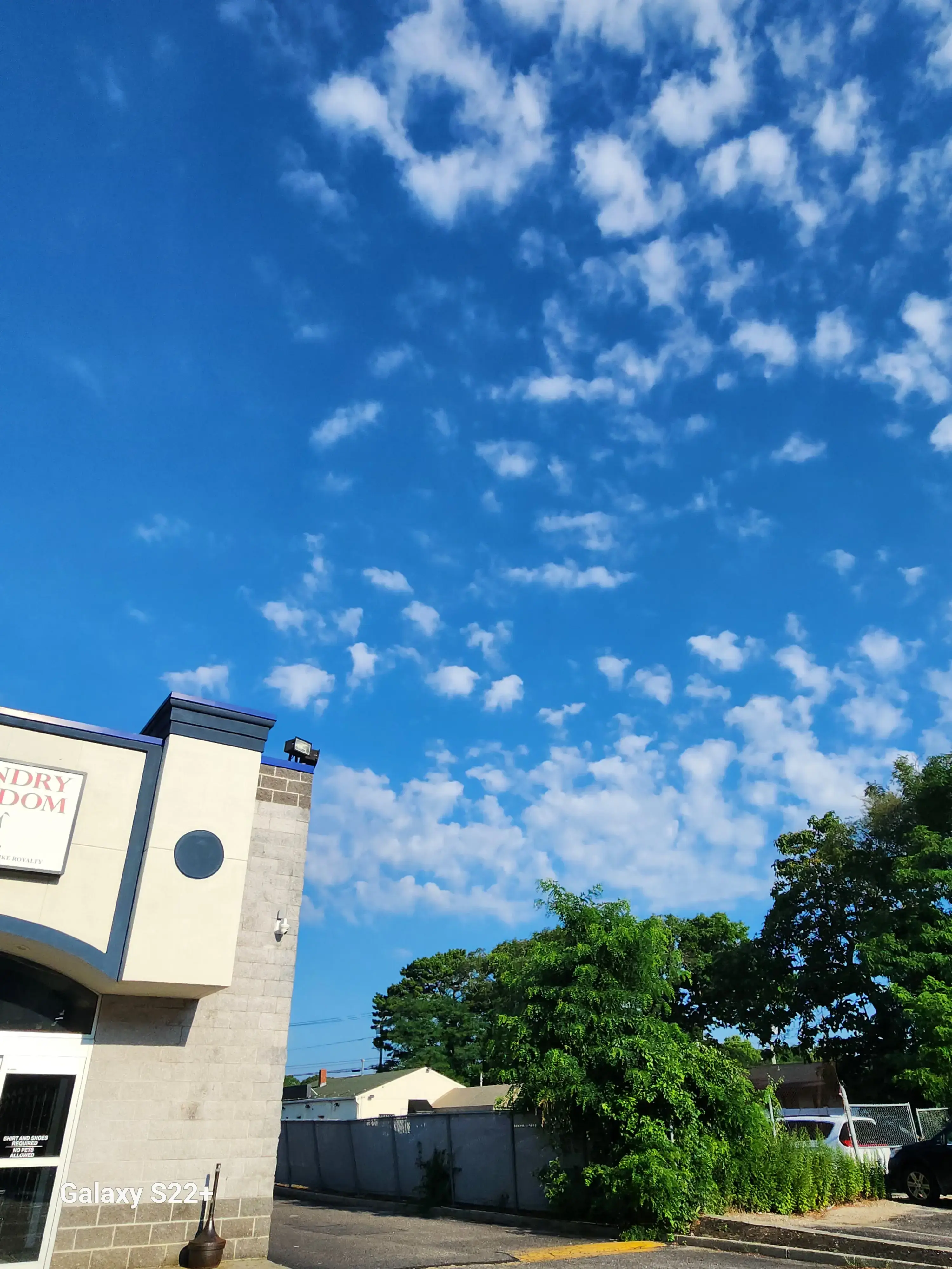 Laundry Kingdom thumbnail 11