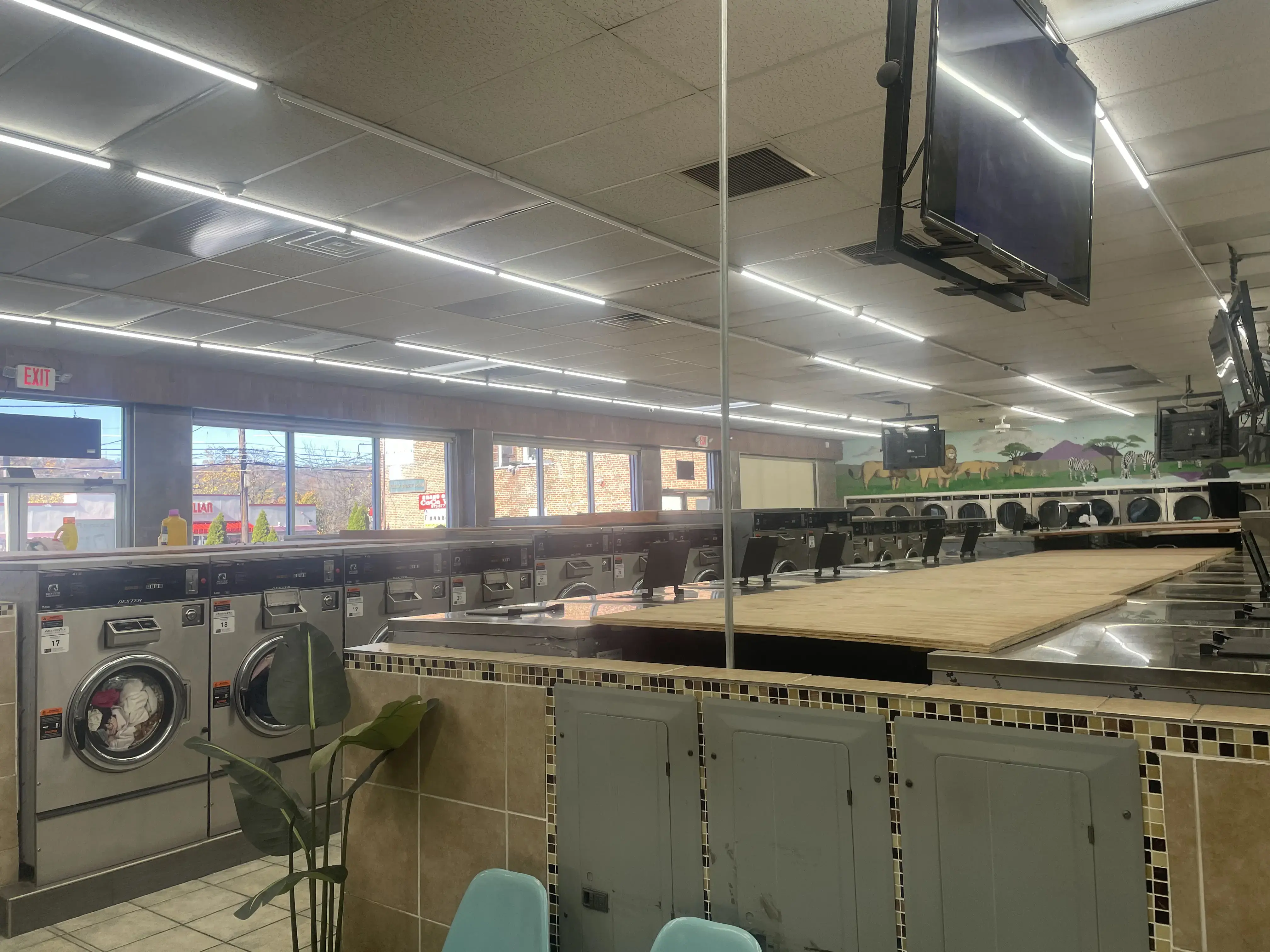Laundry land - Image 6