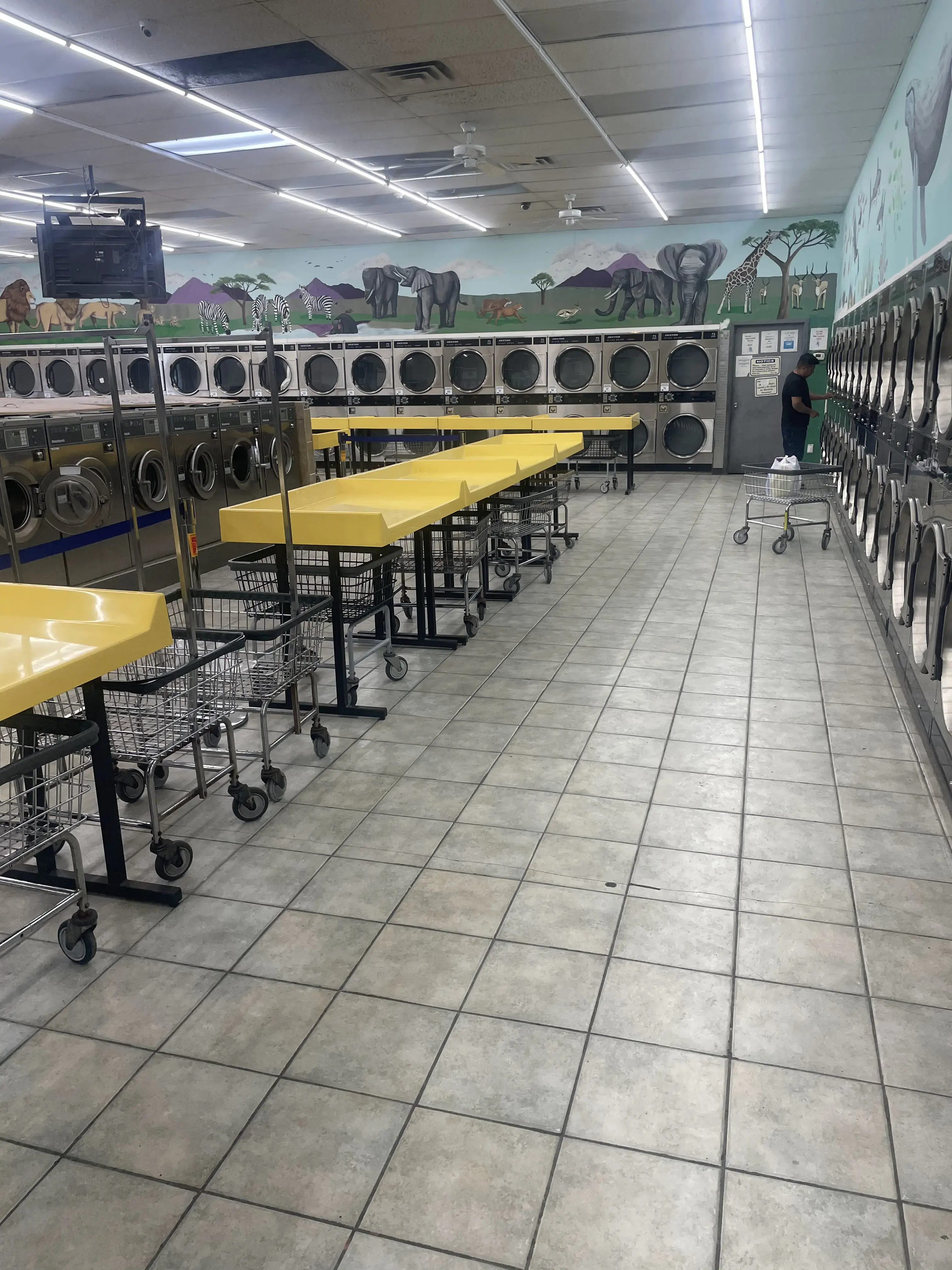 Laundry land location