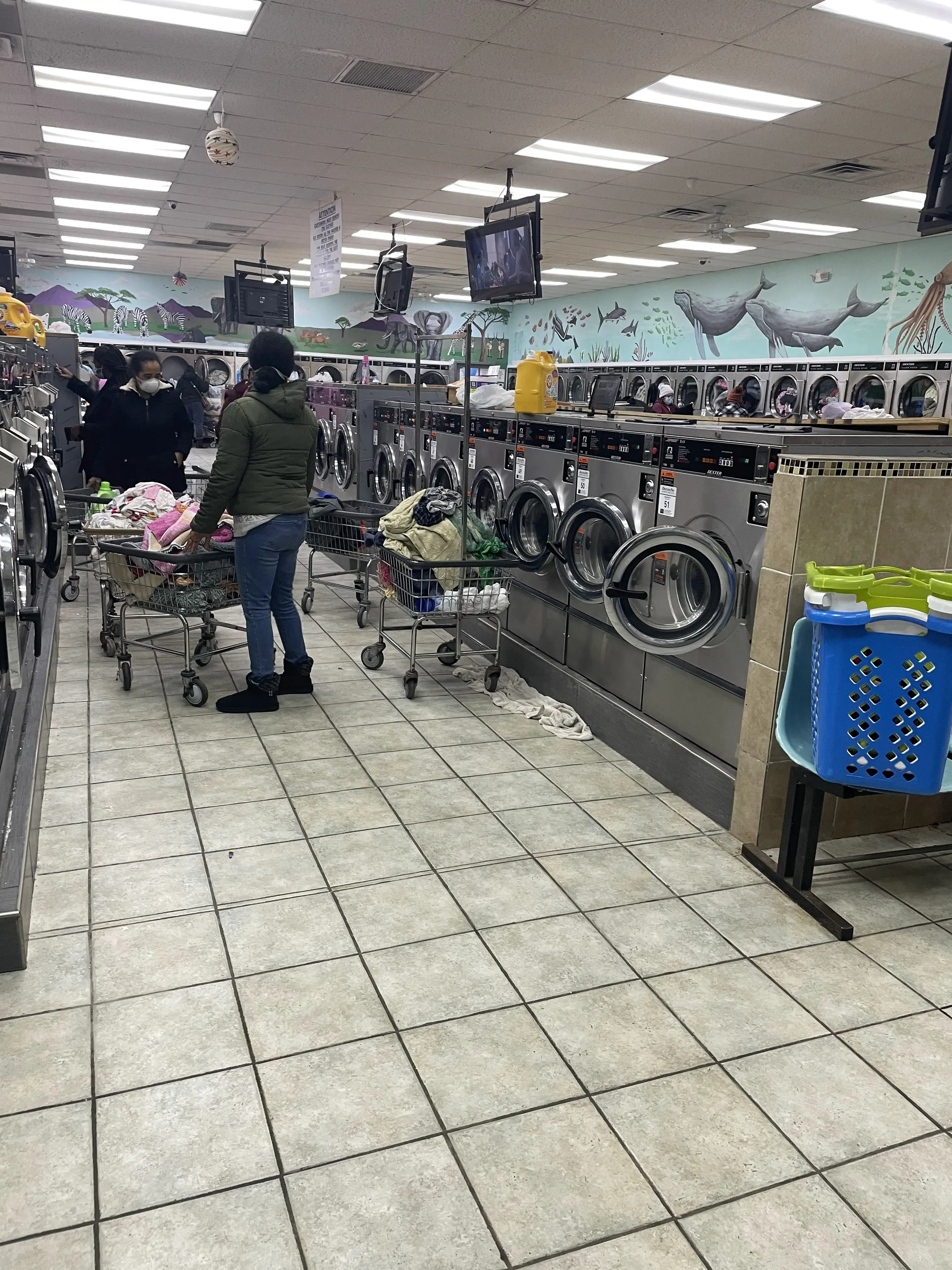 Laundry land thumbnail 7