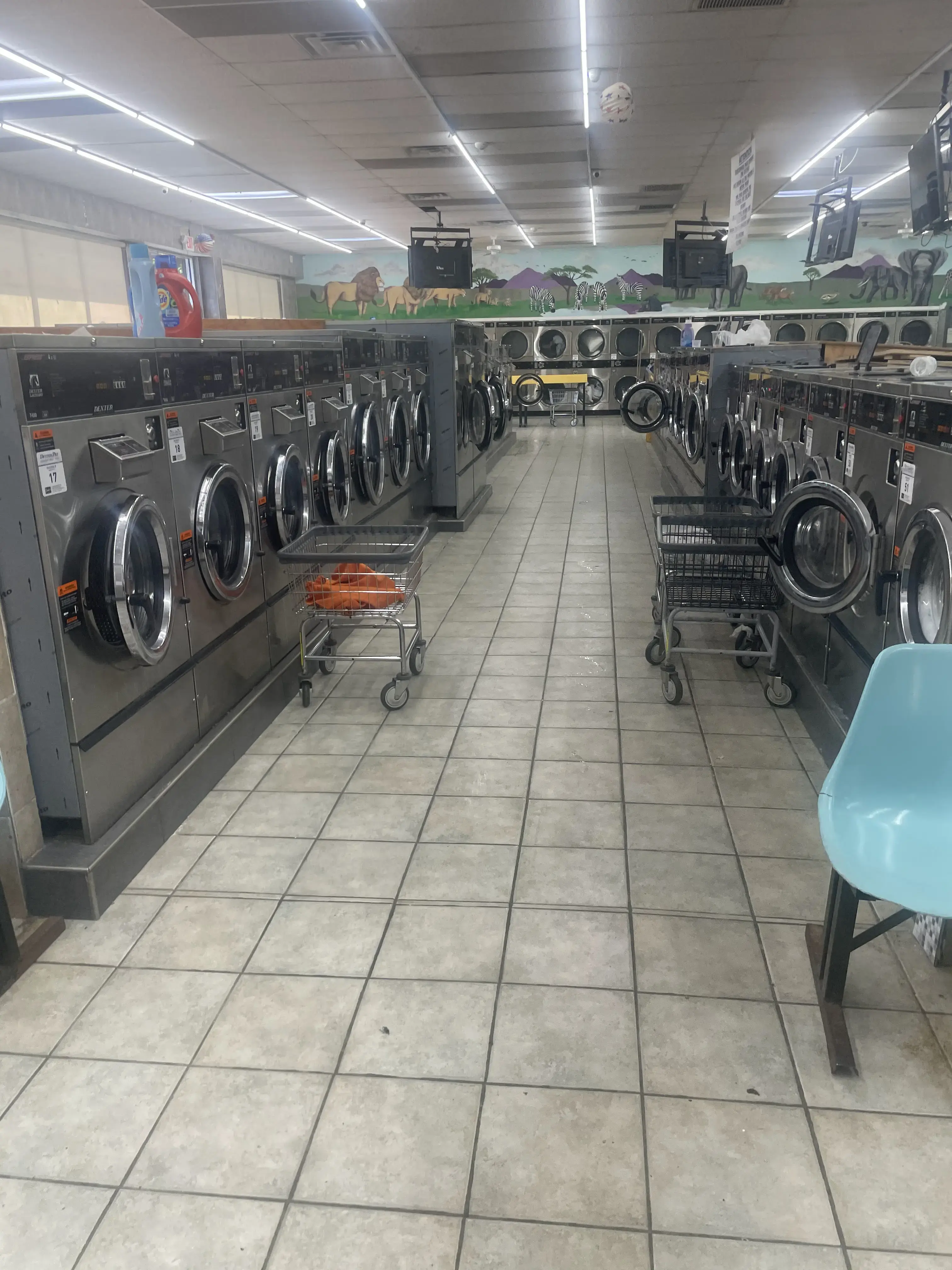 Laundry land thumbnail 4