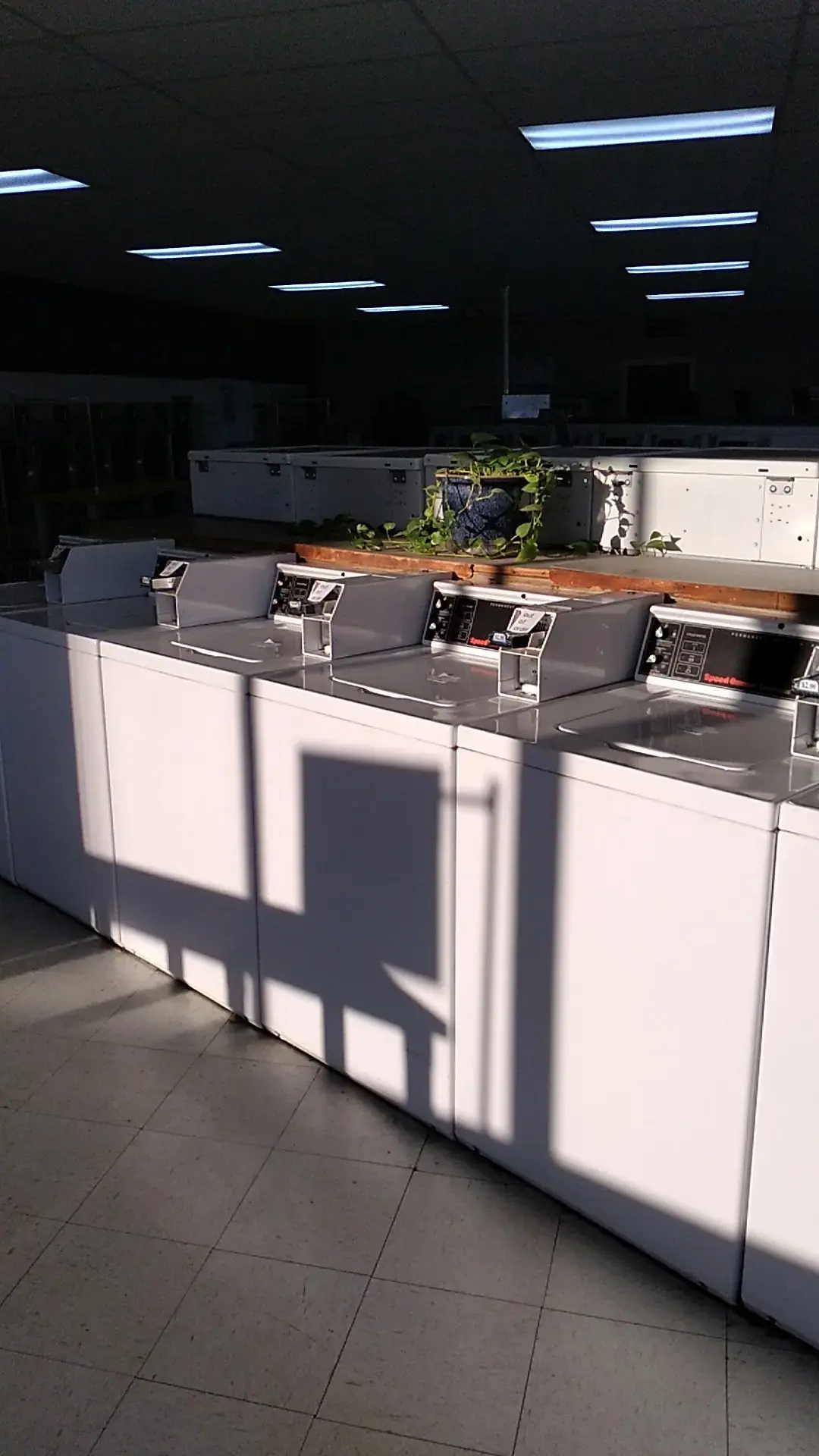 Laundry Land JC - Image 14