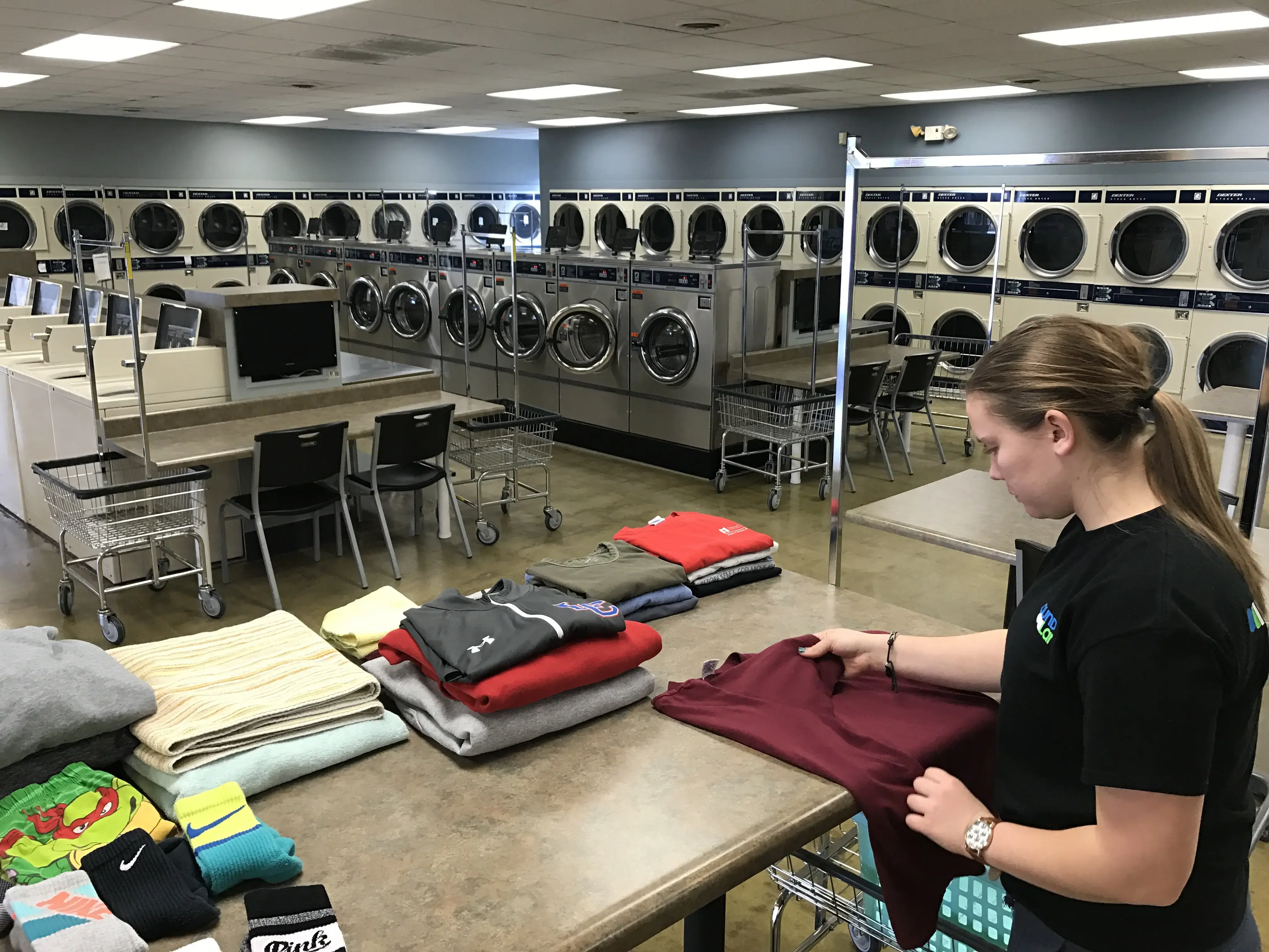 Laundry Land - Image 13