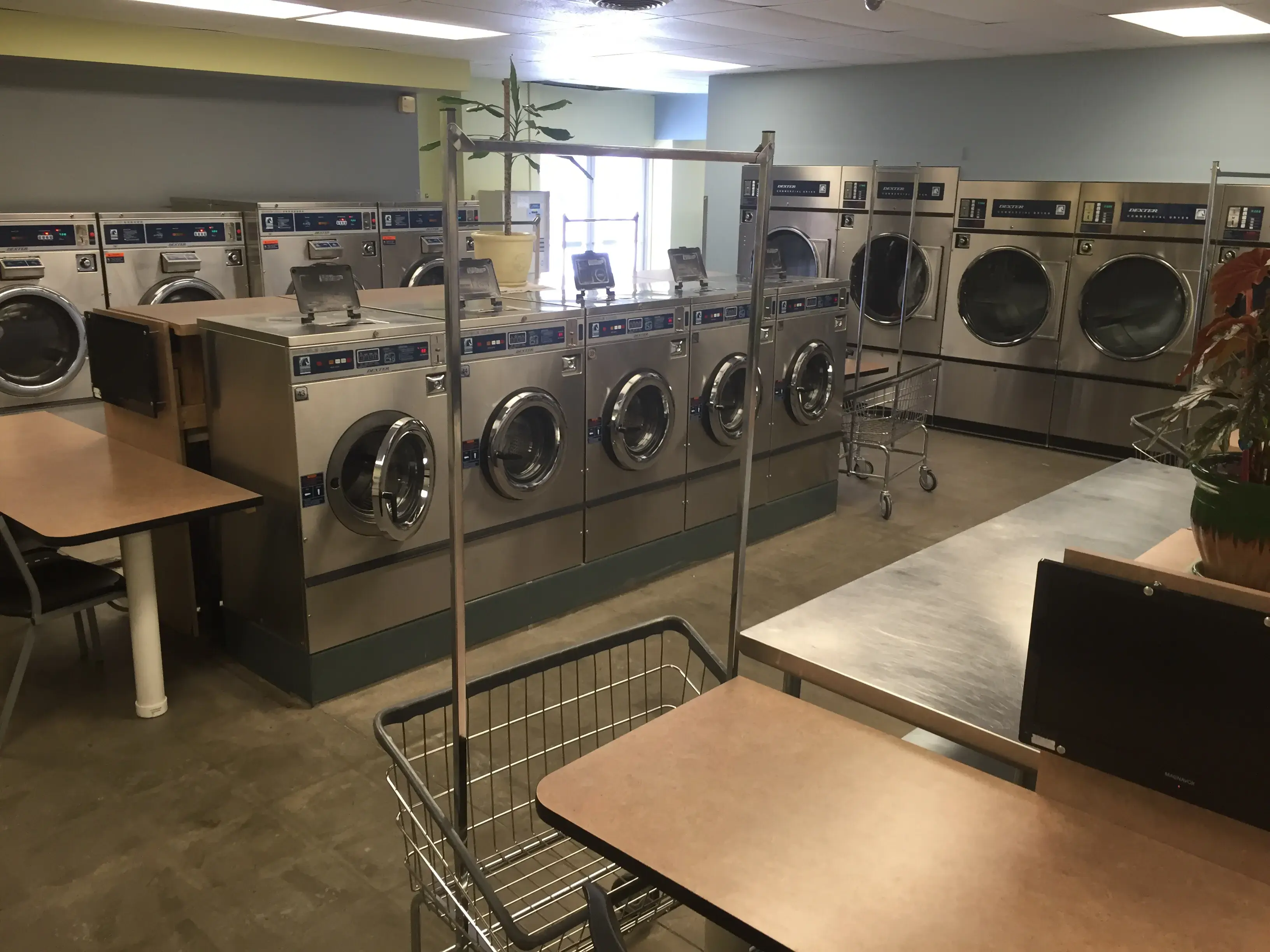 Laundry Land - Image 16