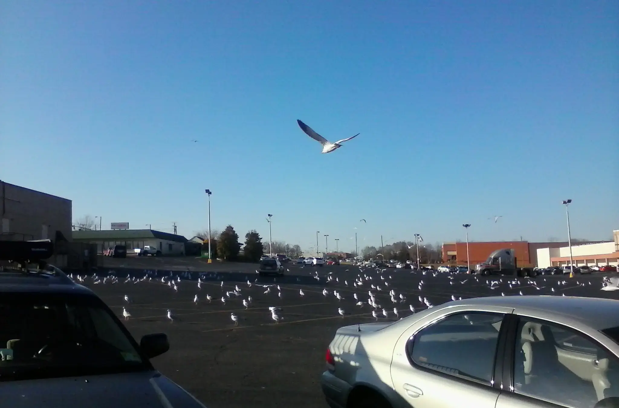 Laundry Land - Image 4