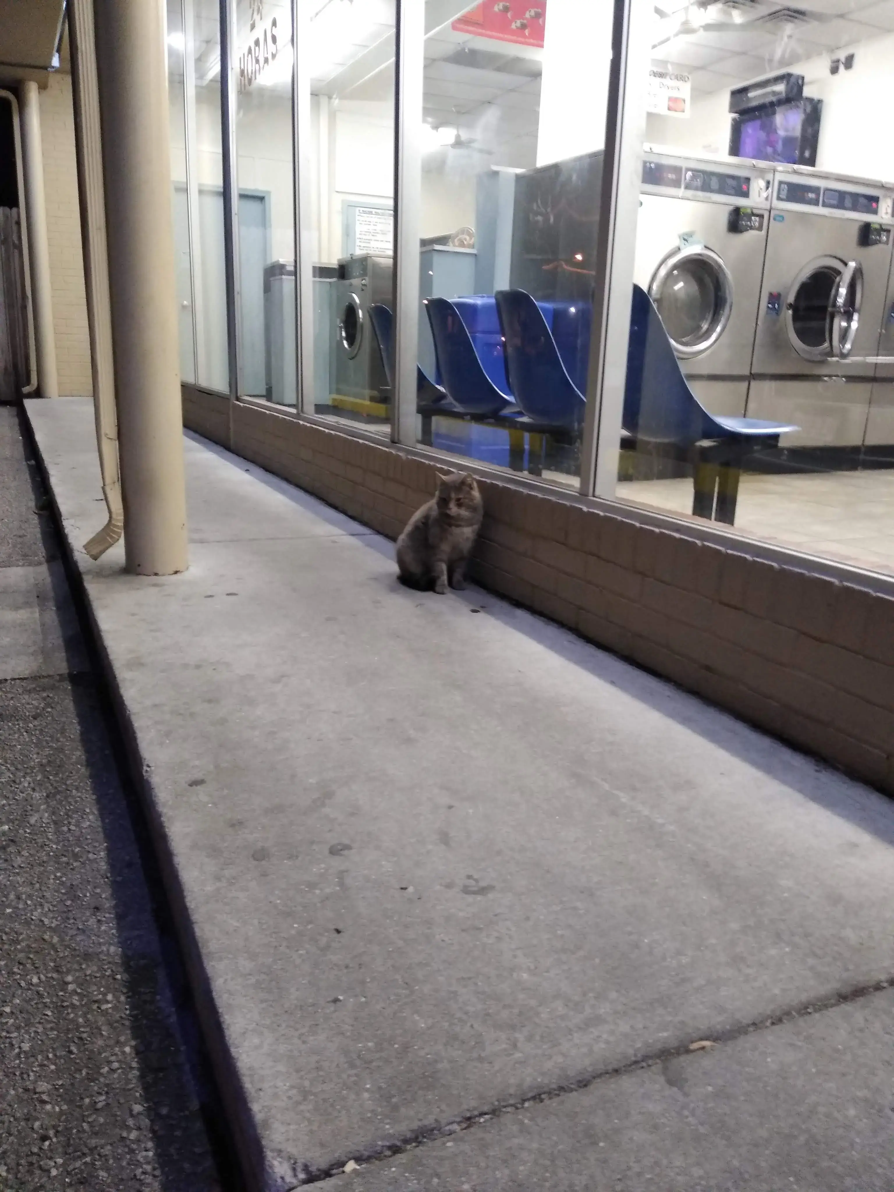 Laundry Land - Image 6