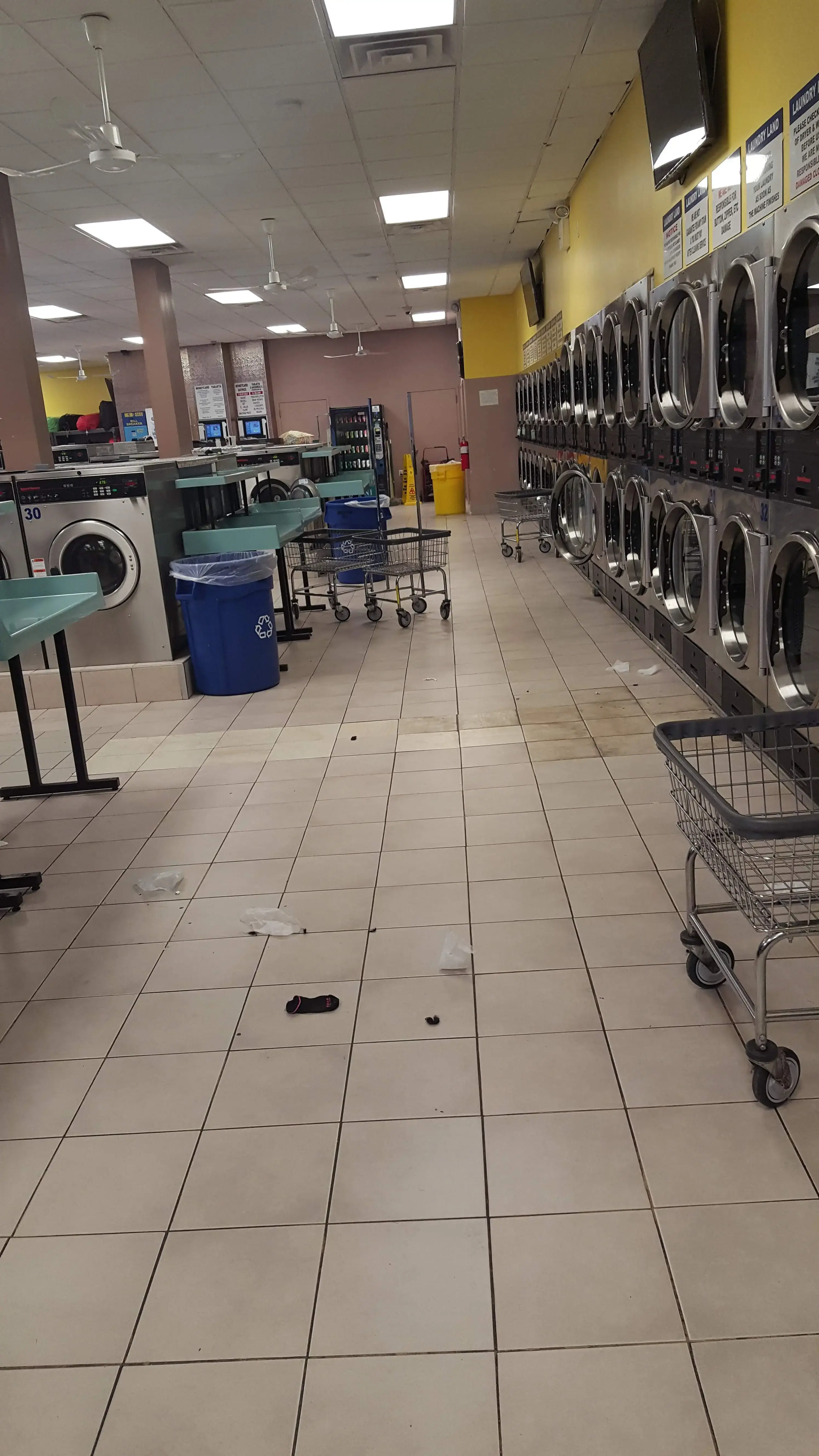 Laundry Land - Image 8