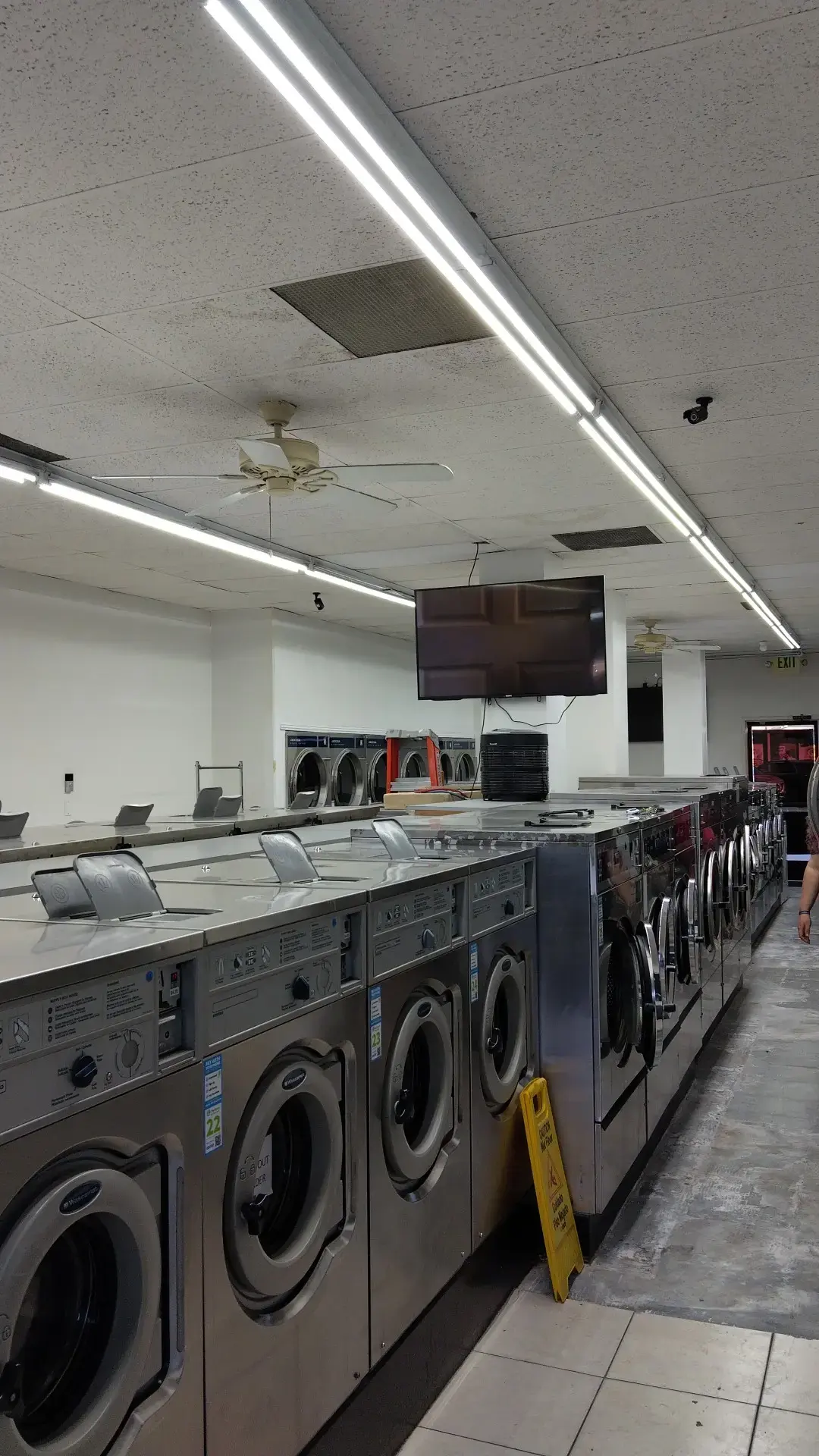 Laundry Lemon thumbnail 12