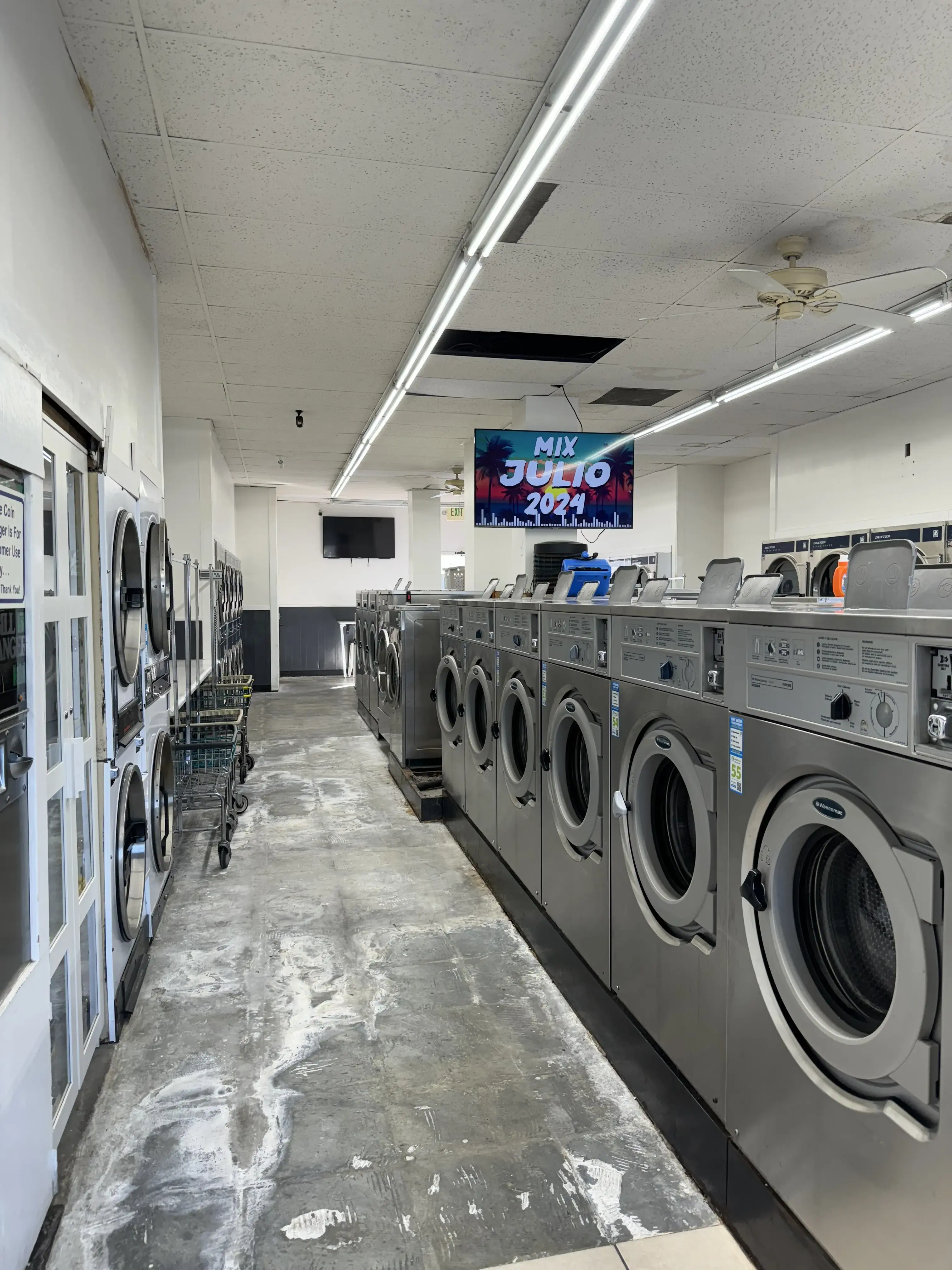 Laundry Lemon - Image 1