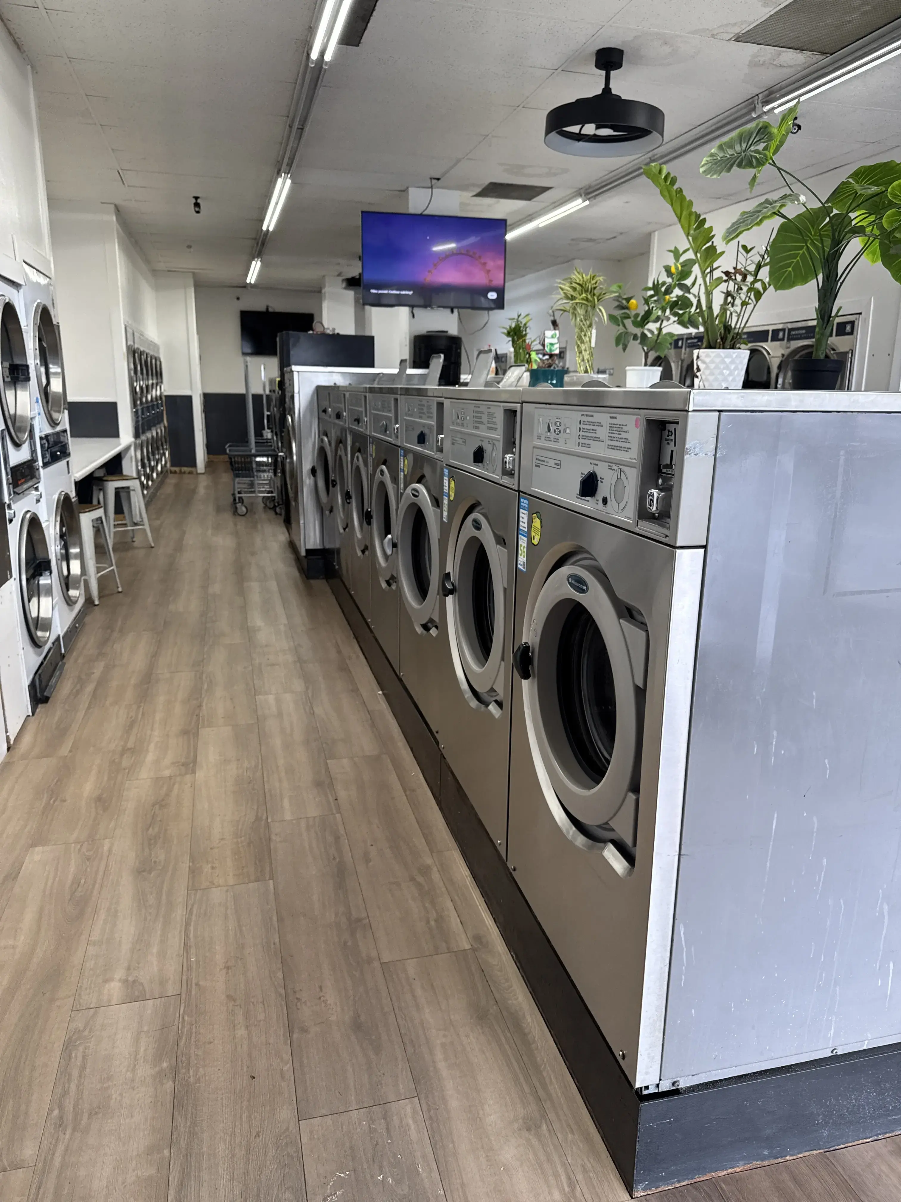 Laundry Lemon - Image 11