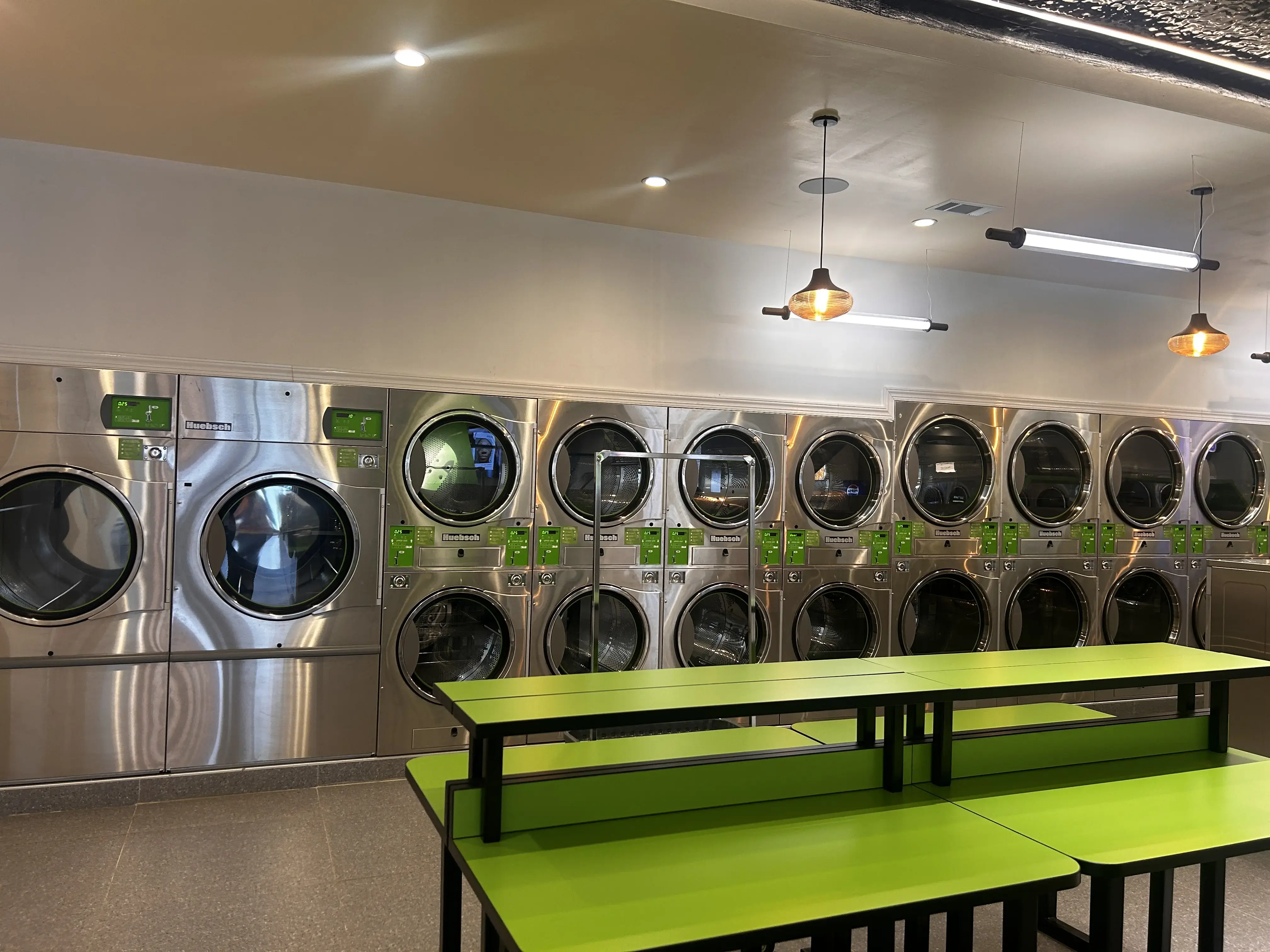 Laundry Lion - Image 2