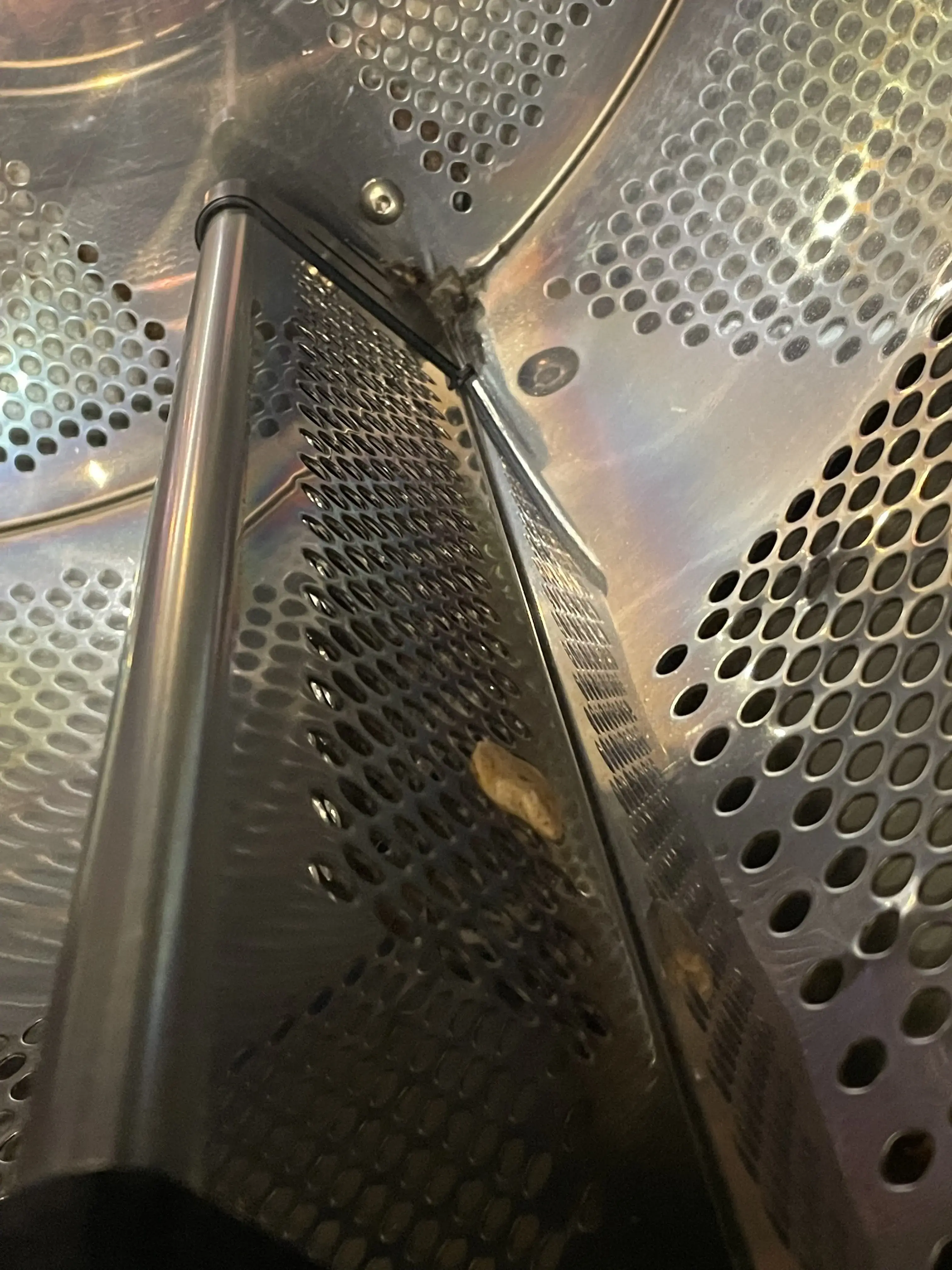 Laundry Lion thumbnail 8