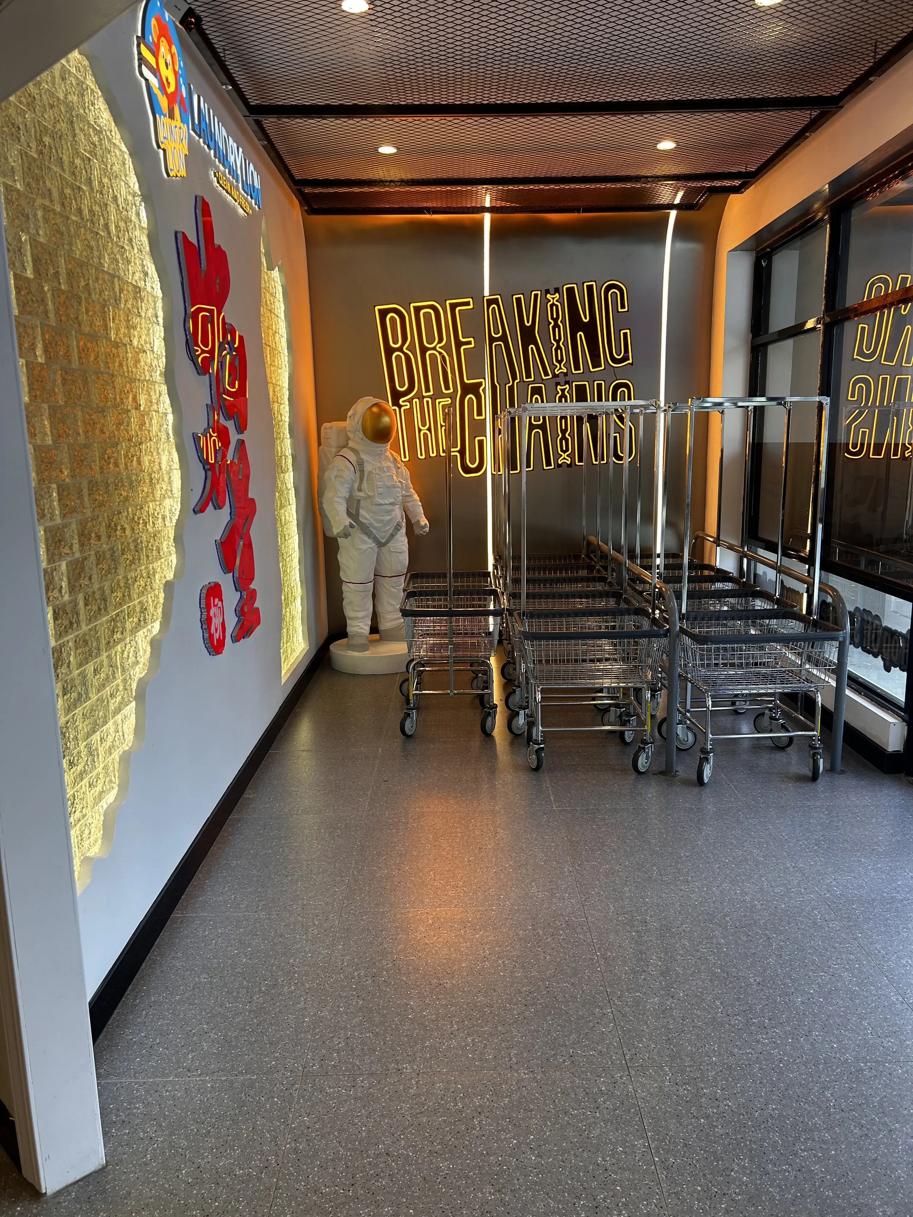 Laundry Lion - Image 3