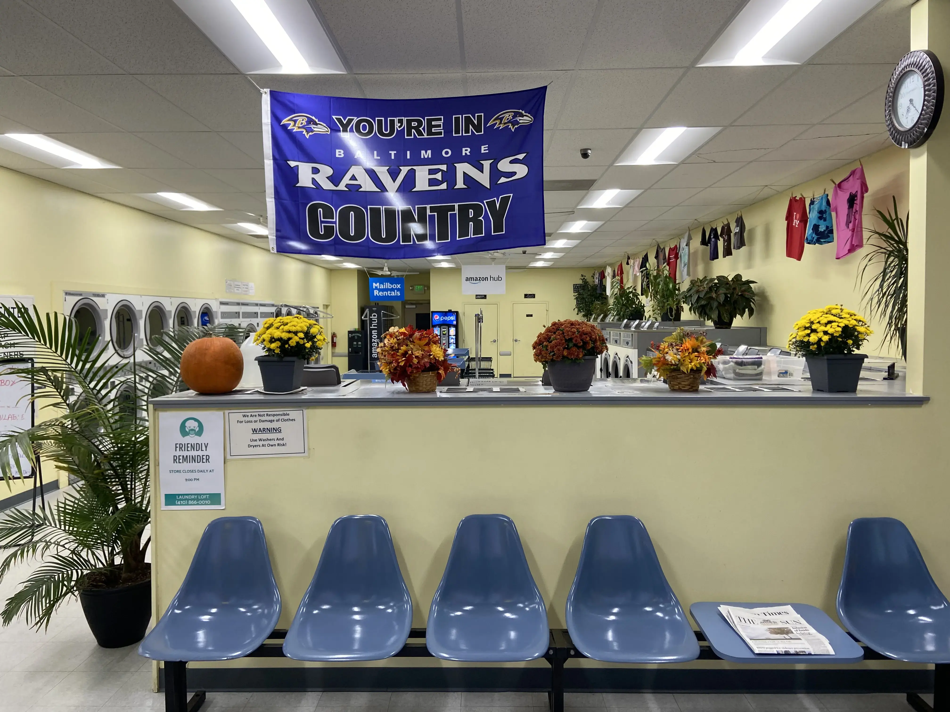 Laundry Loft thumbnail 8