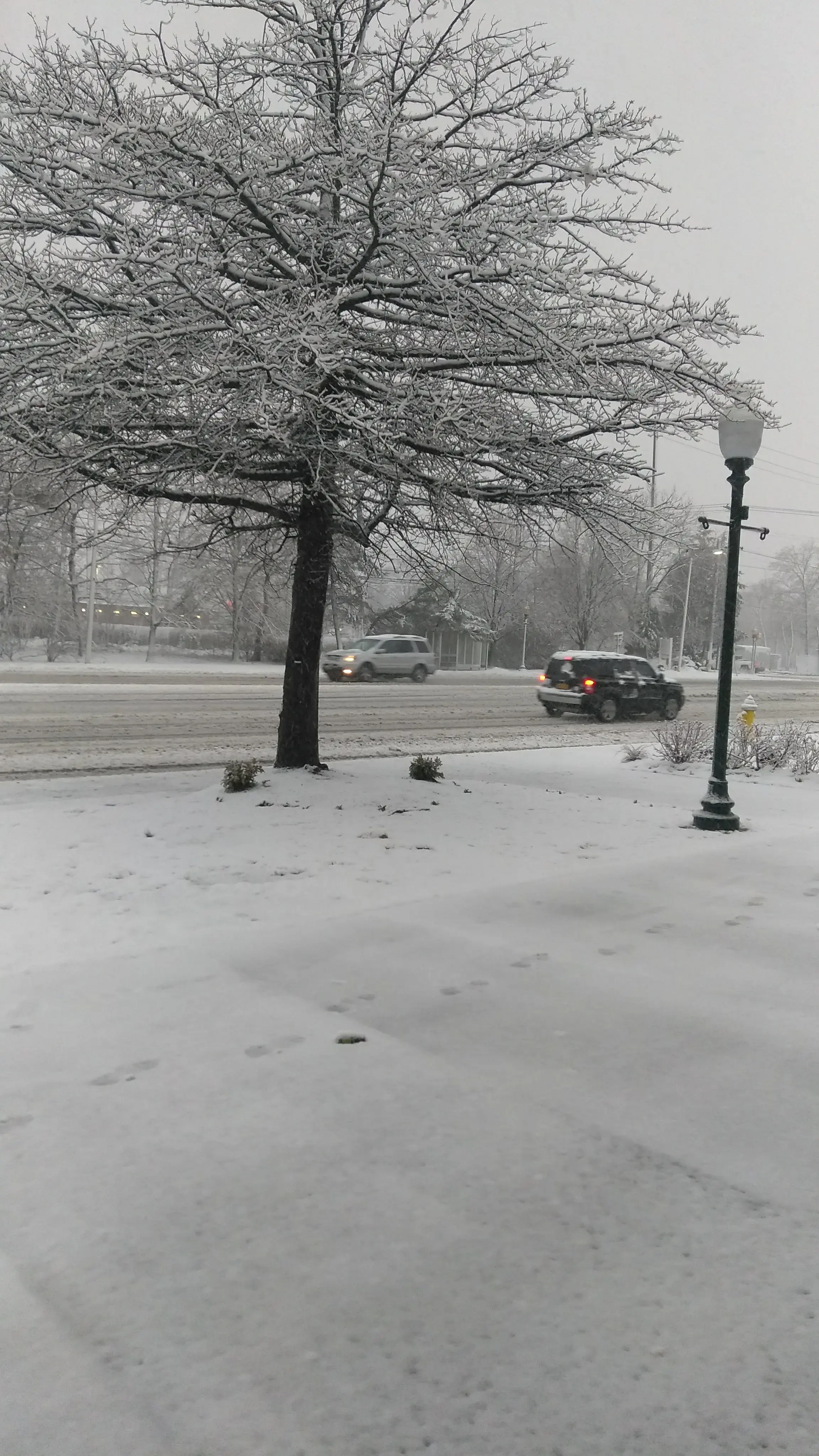 Laundry Palace thumbnail 12