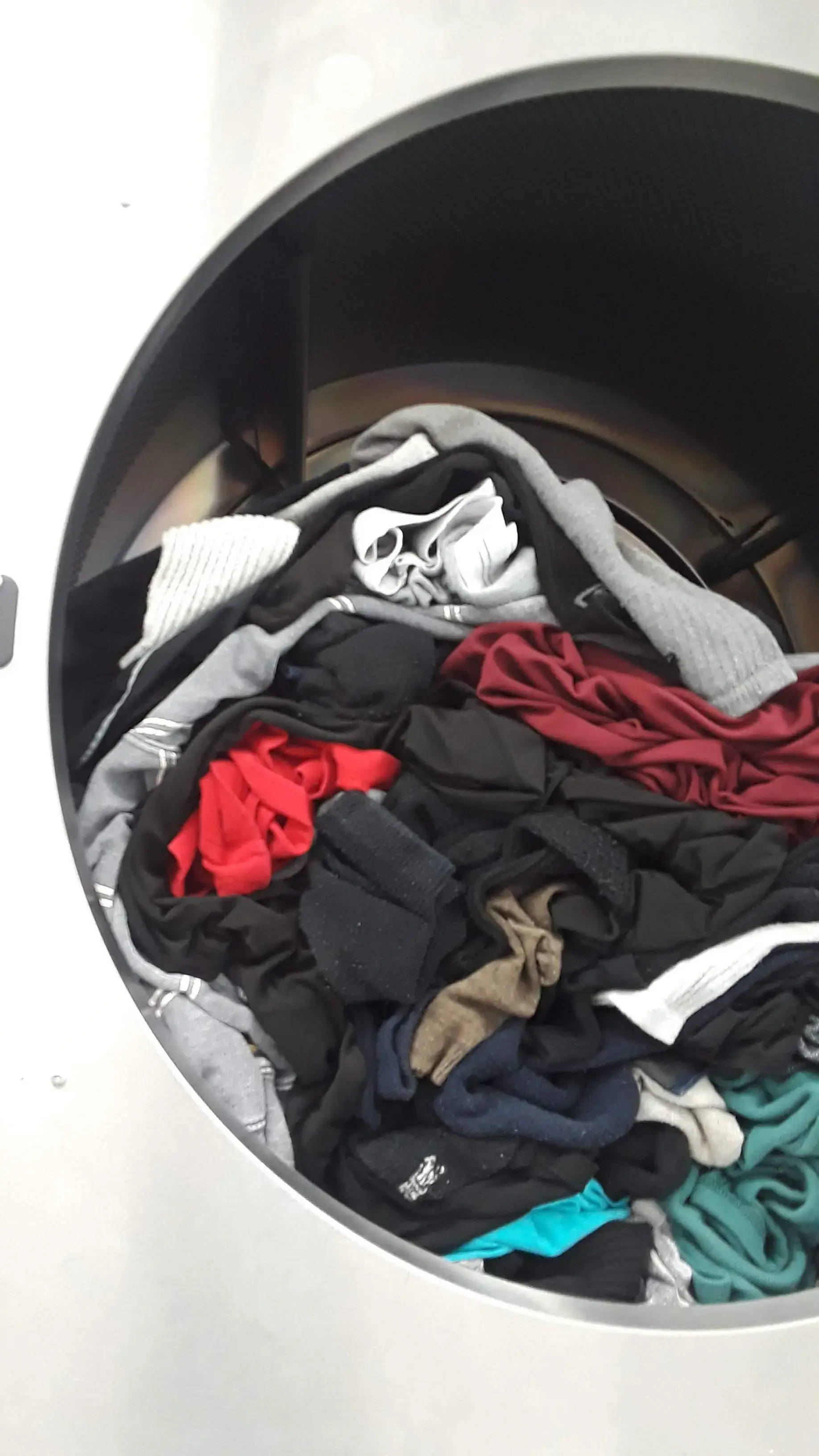 Laundry Palace - Image 16