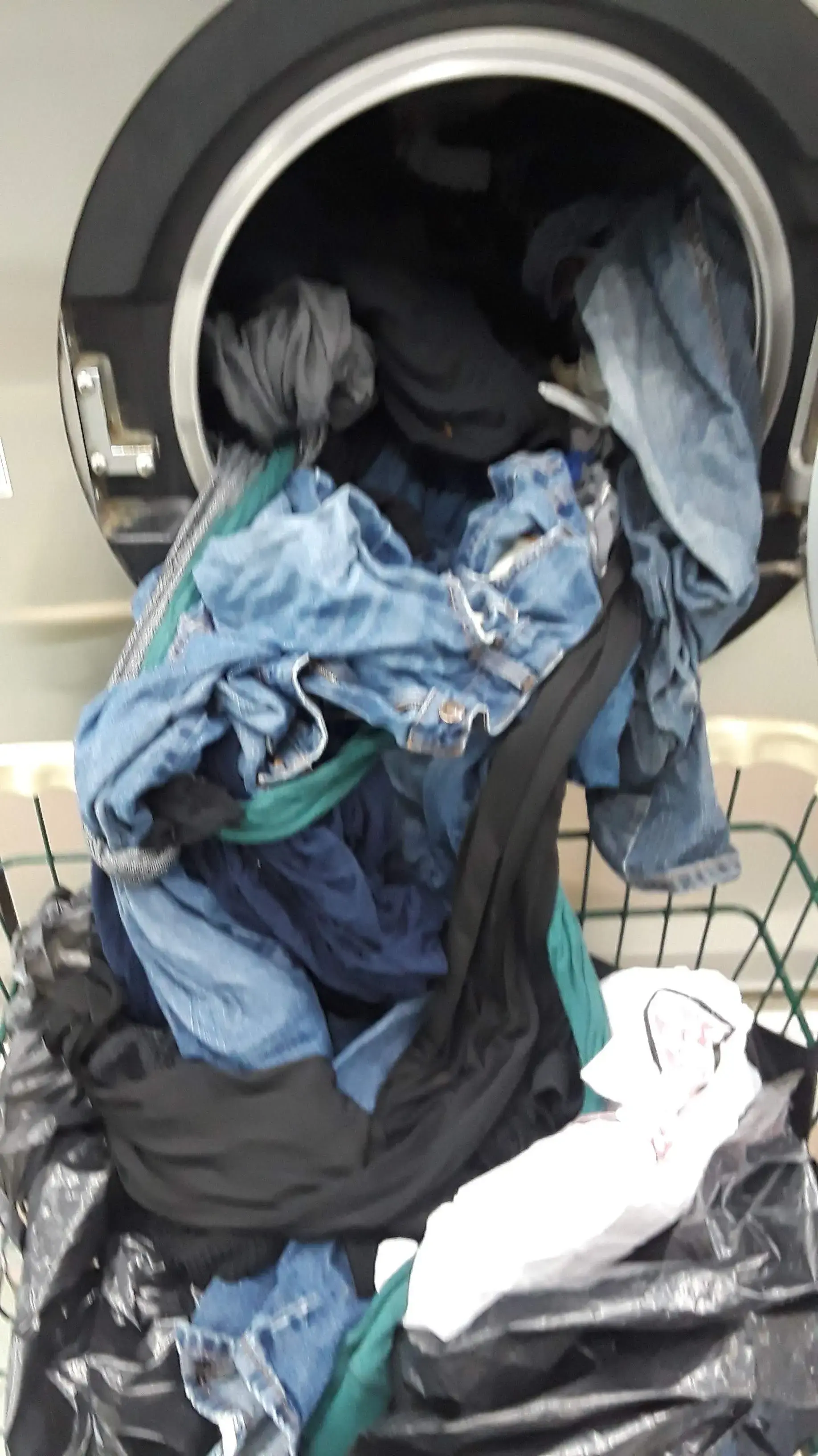 Laundry Palace thumbnail 13