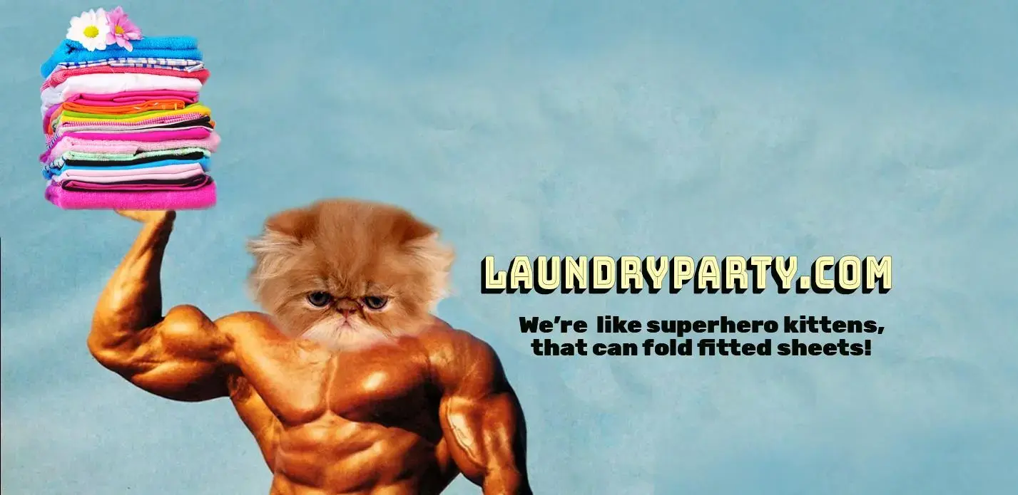 Laundry Party thumbnail 3