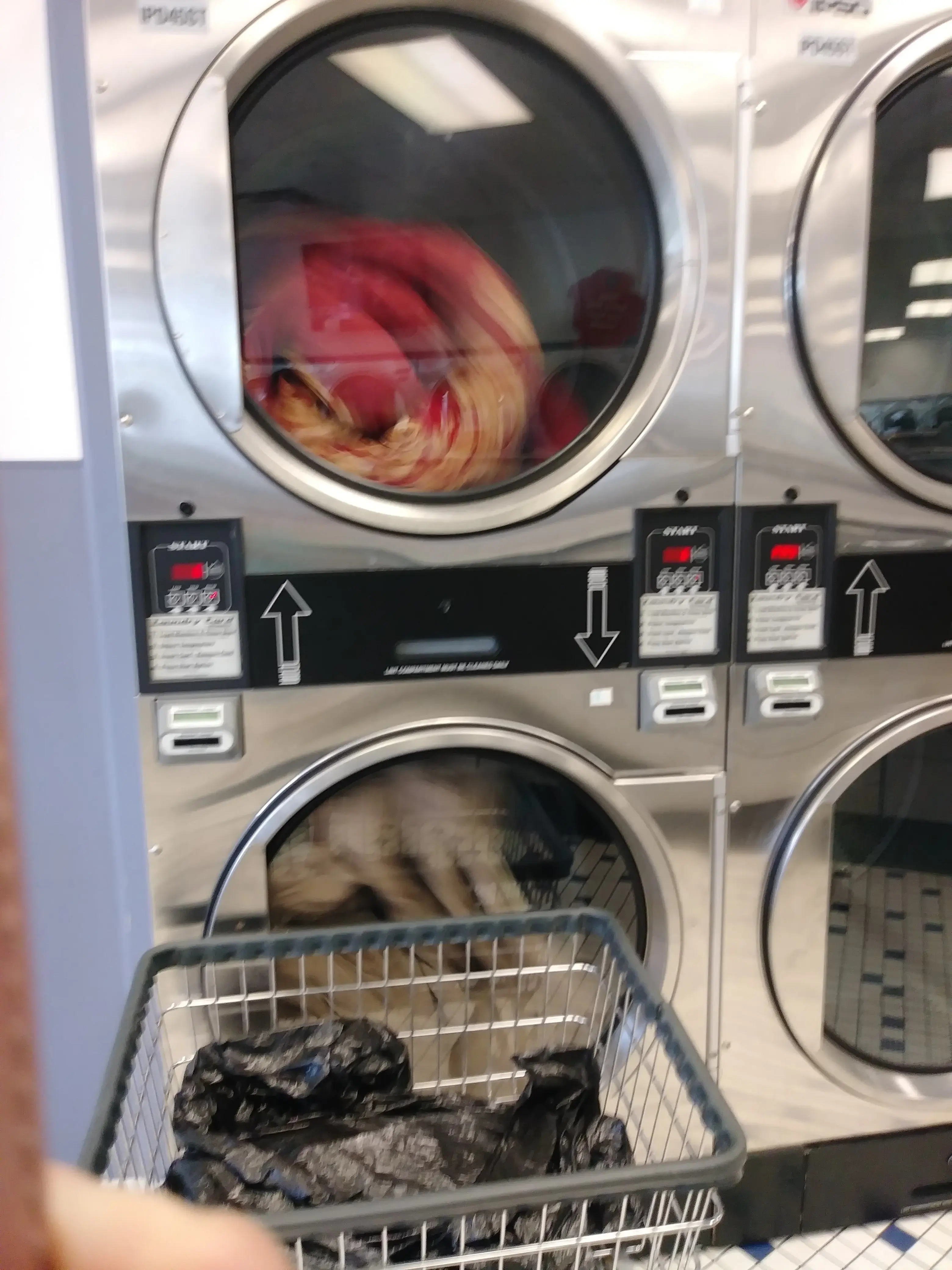 Laundry Place-Berkley thumbnail 6