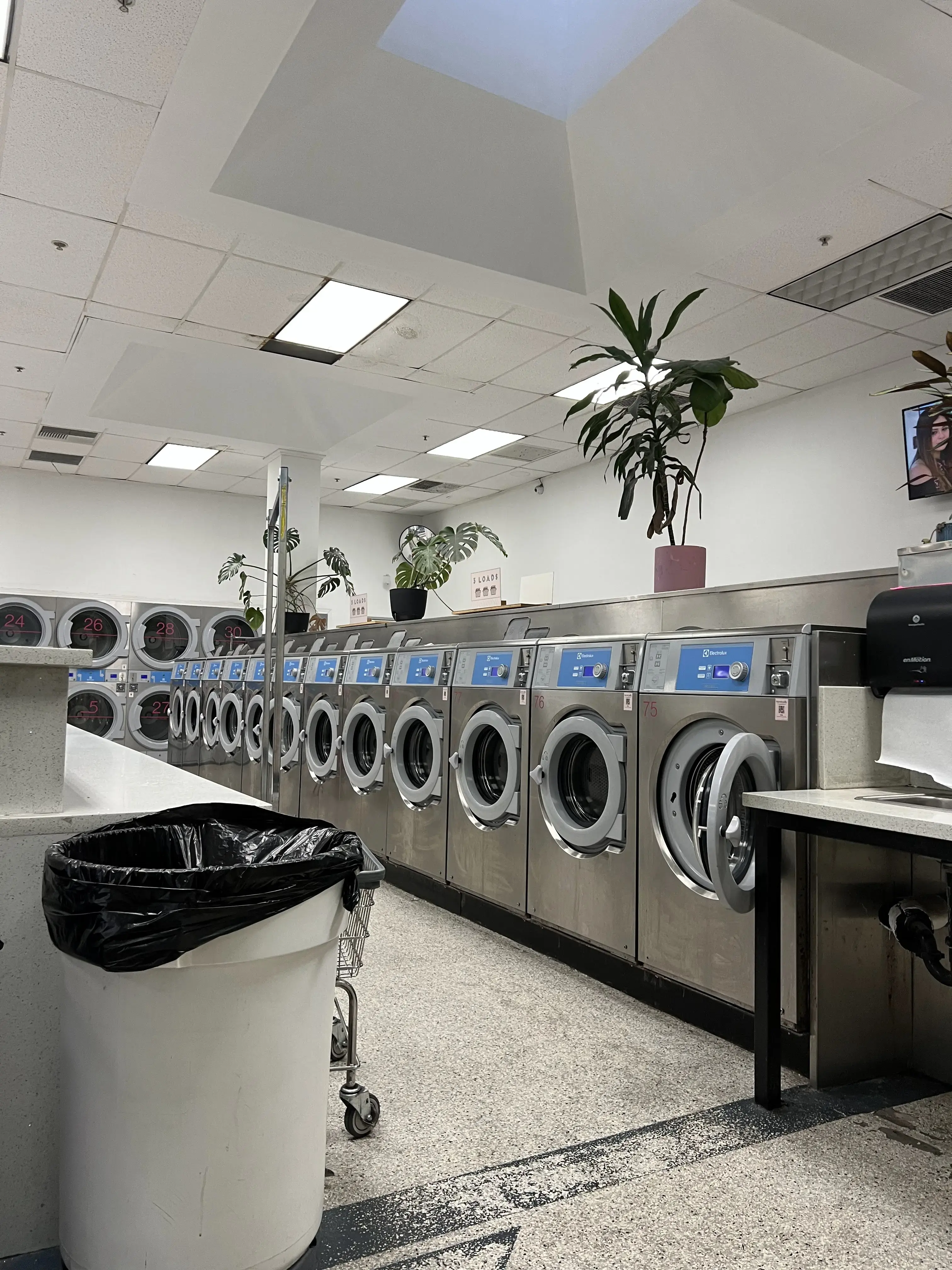 Laundry Pop - Image 3