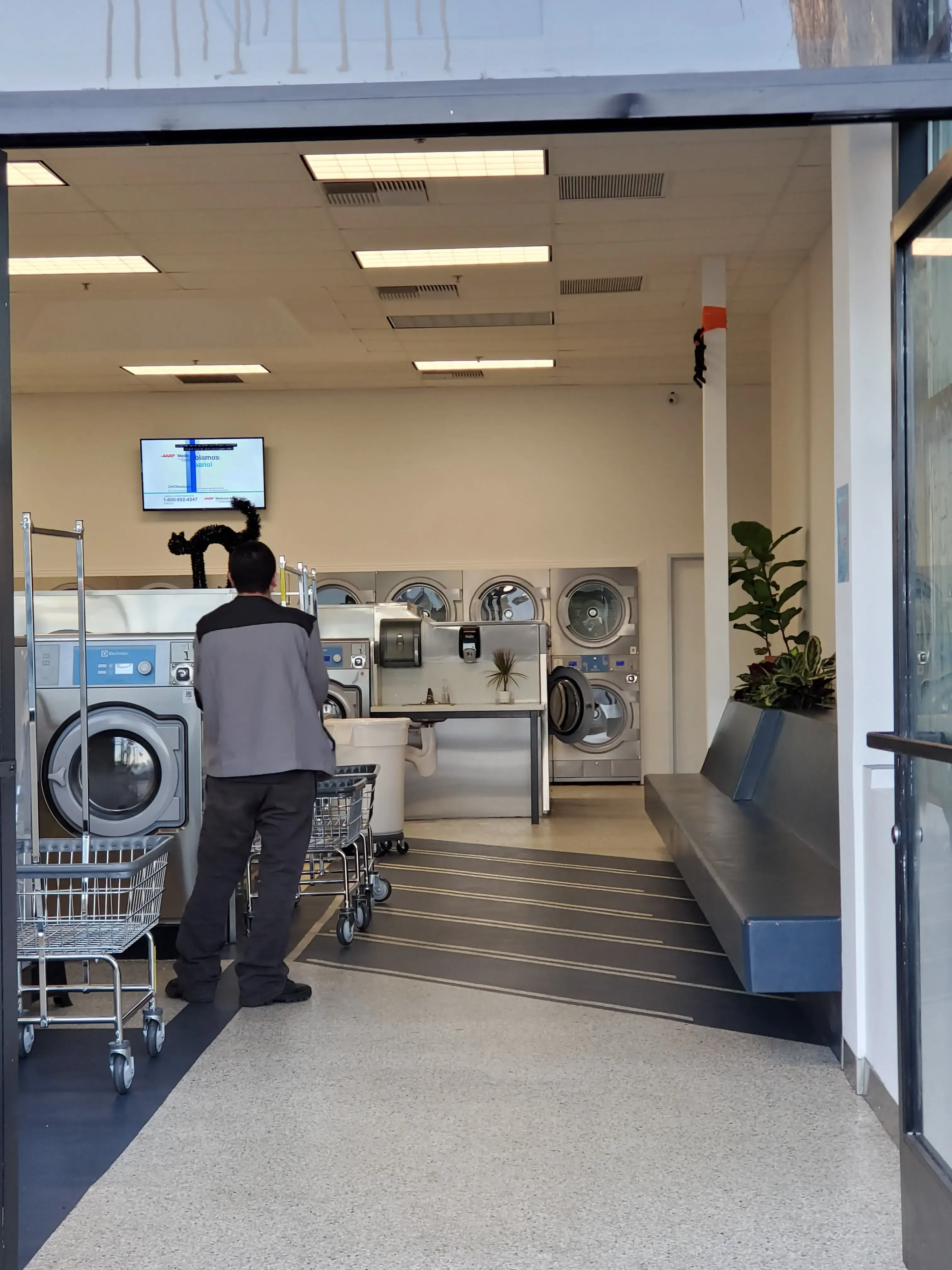 Laundry Pop - Image 7