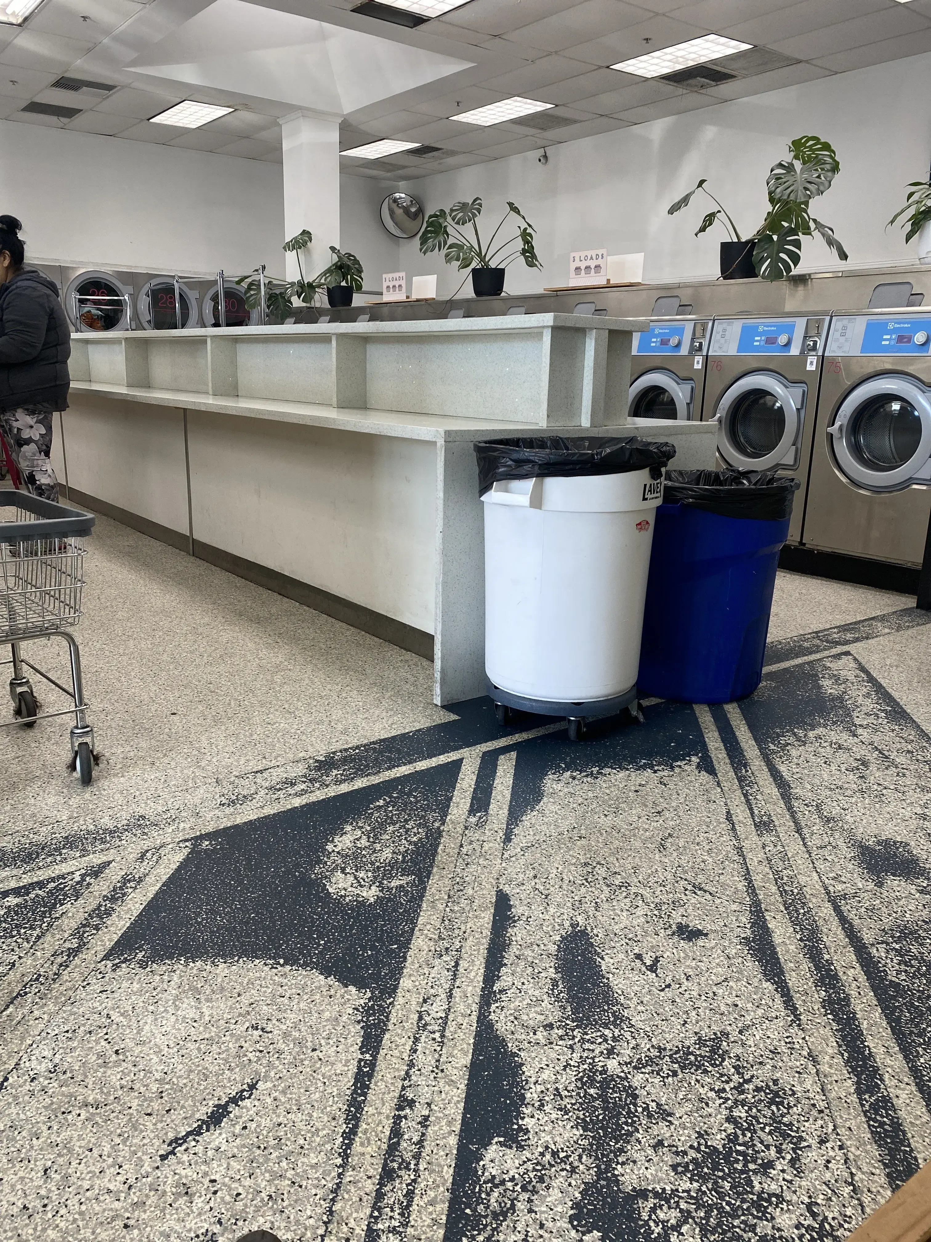 Laundry Pop - Image 17