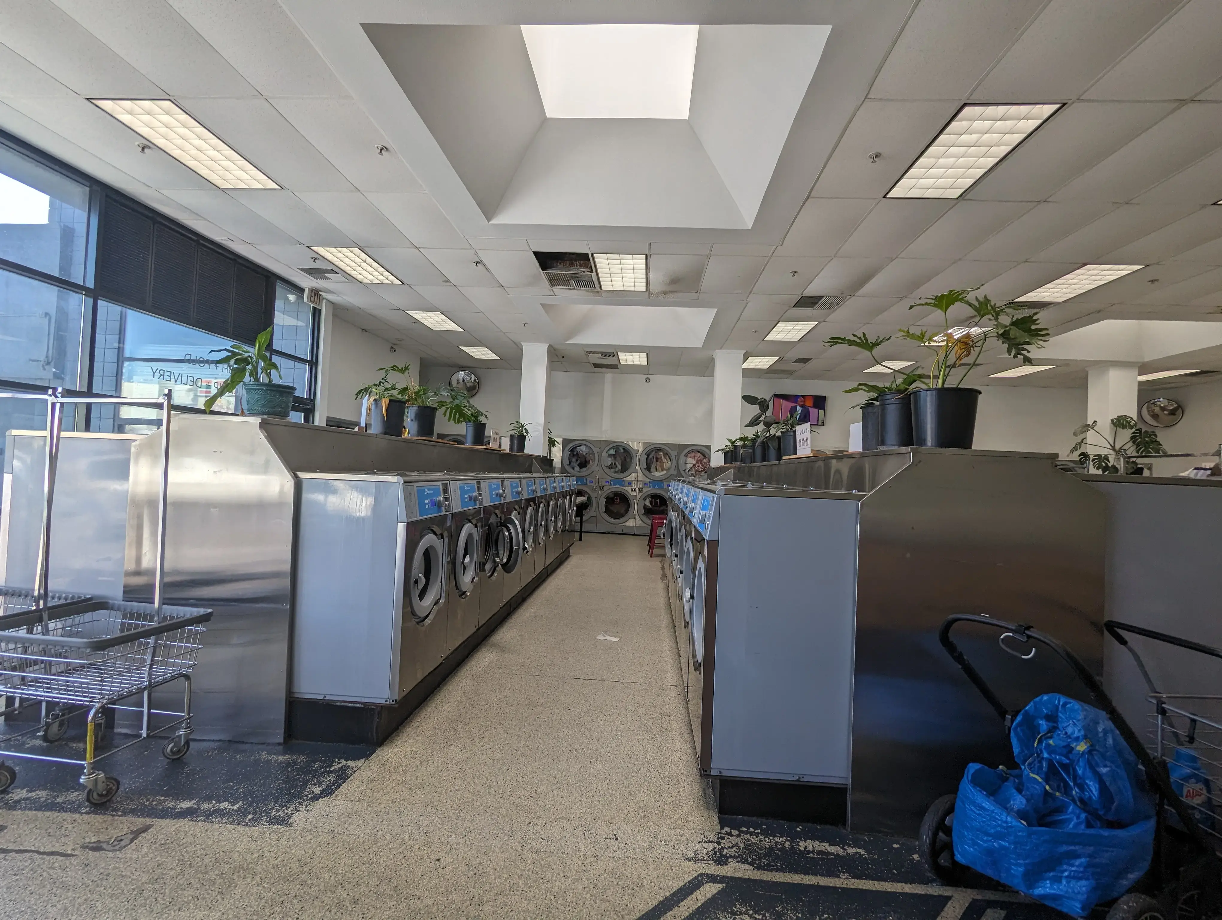 Laundry Pop thumbnail 6