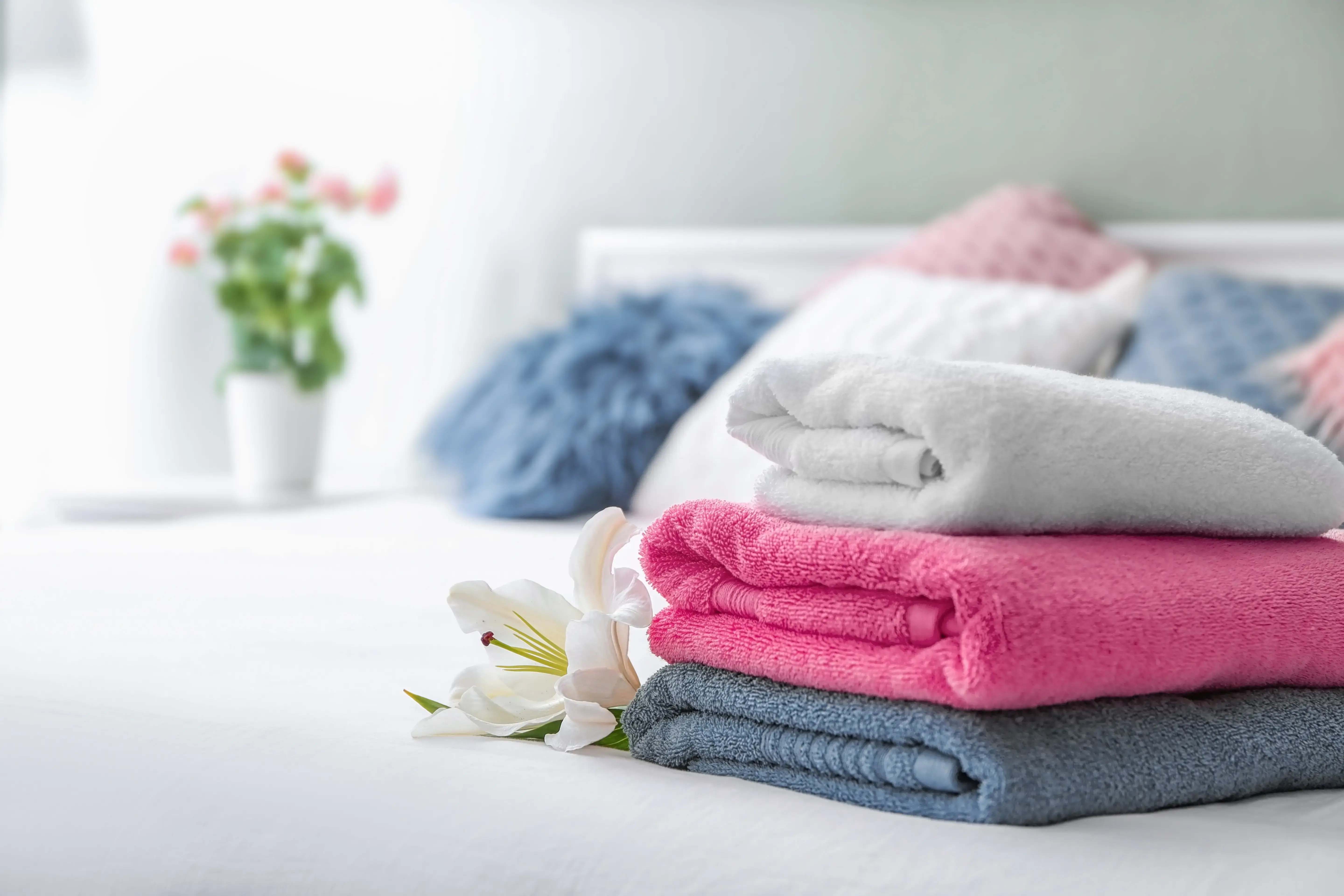 Laundry Reimagined thumbnail 1