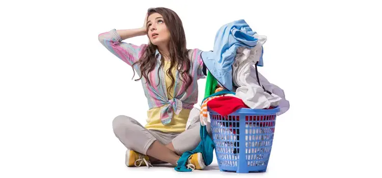 LAUNDRY SHIRTS $ 2.39 SPECIAL - Image 2