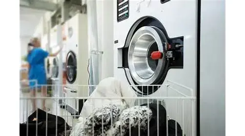 Laundry Solutions Company - Image 6