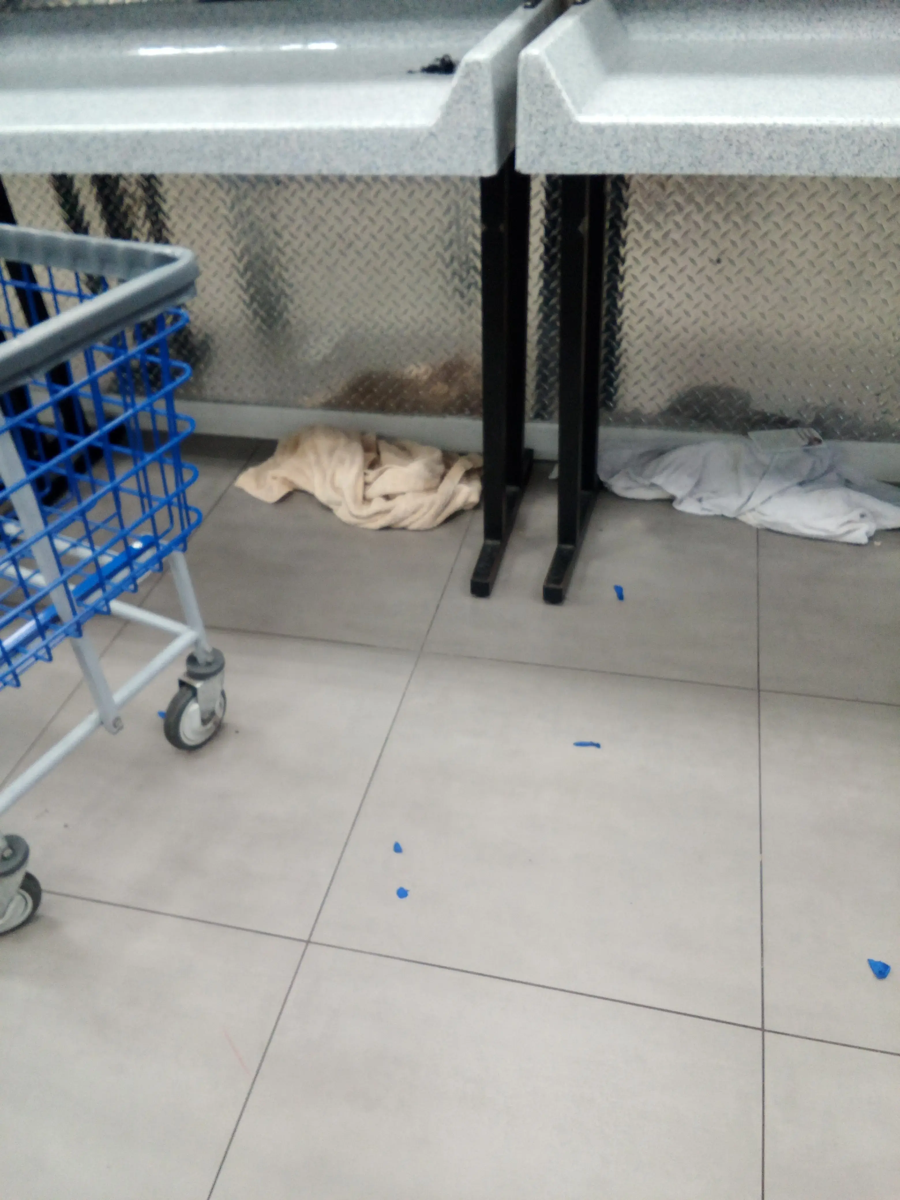 Laundry Time thumbnail 12