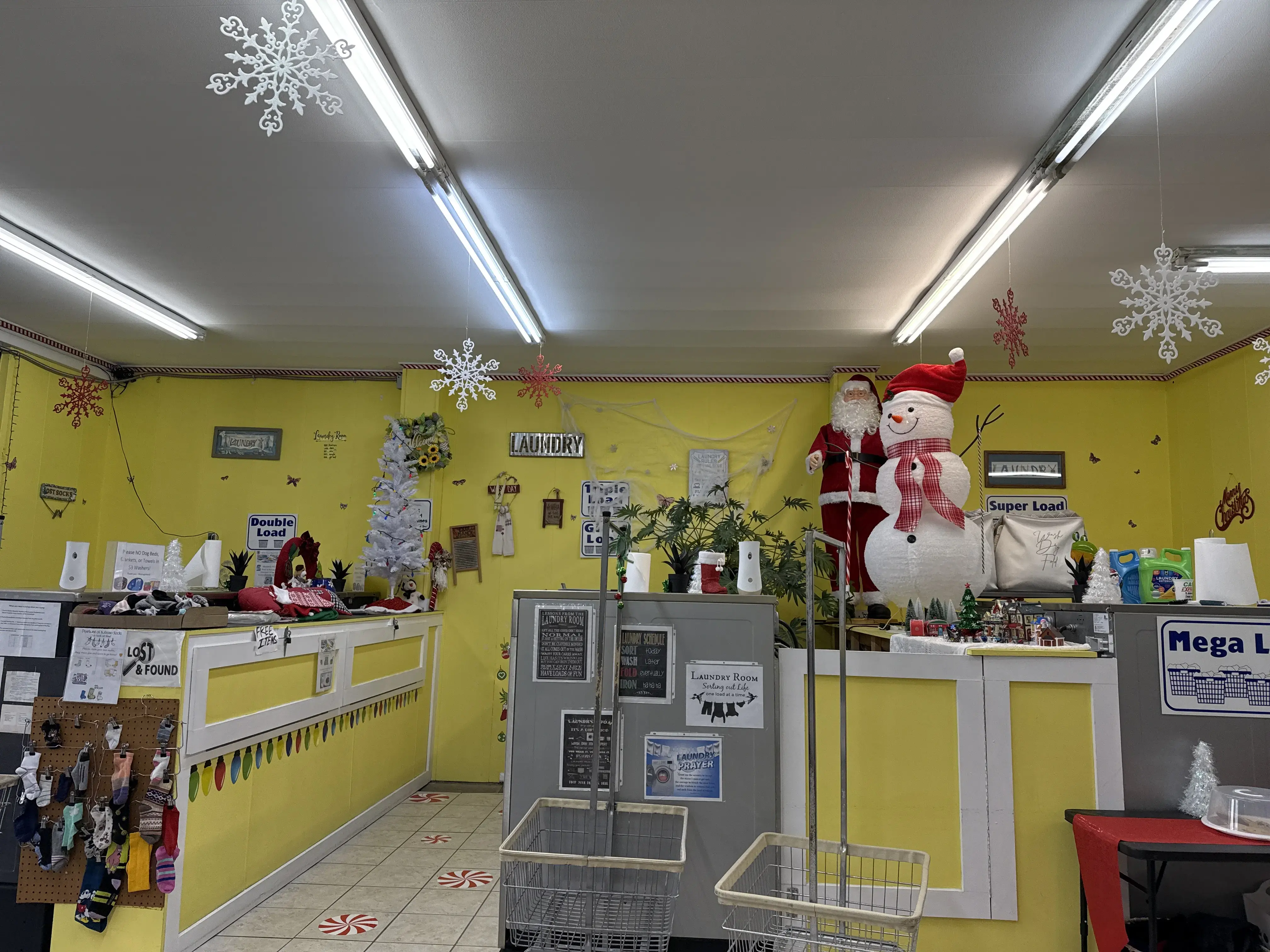 Laundry with Leona thumbnail 2