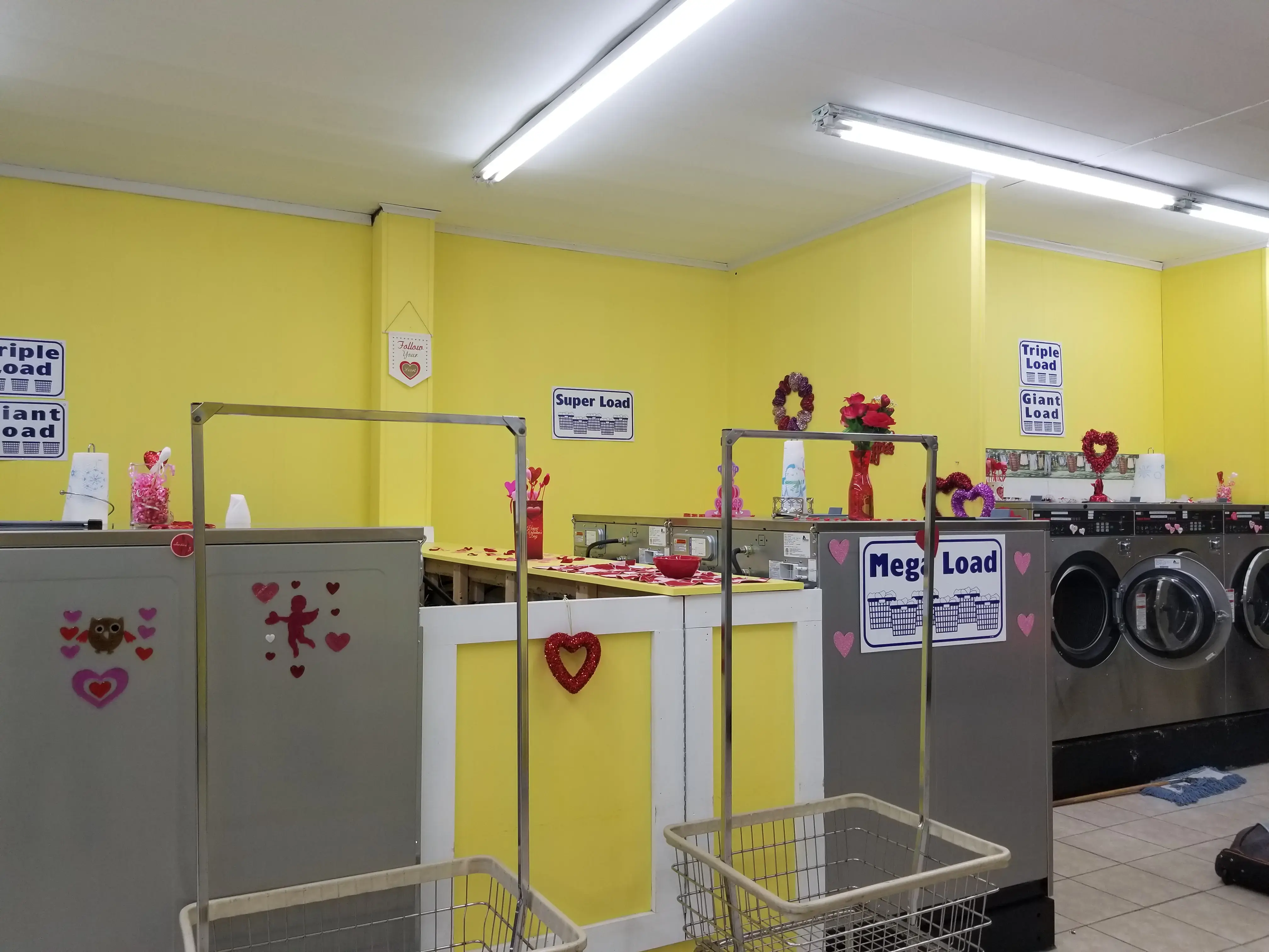 Laundry with Leona thumbnail 12