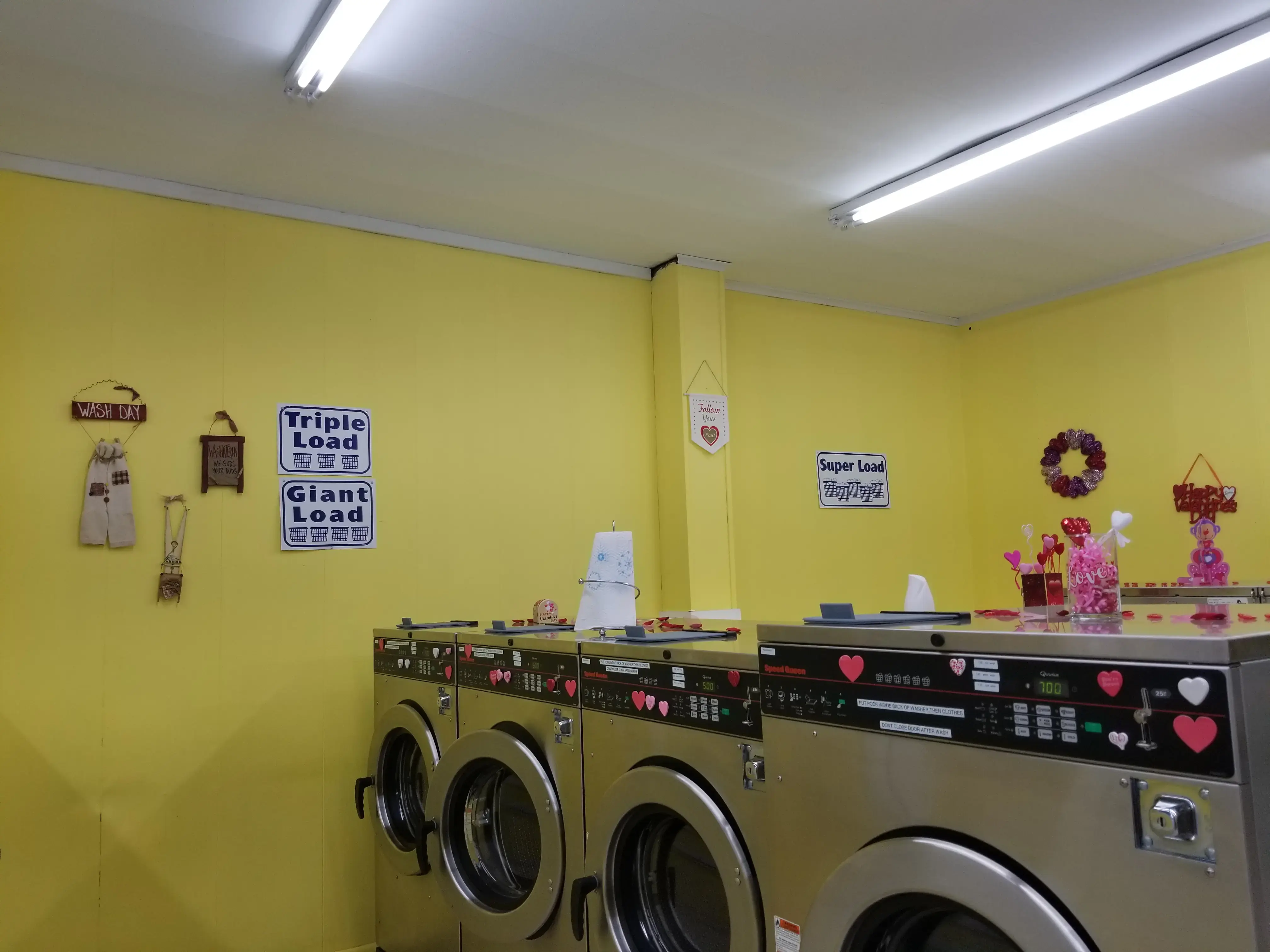 Laundry with Leona thumbnail 6