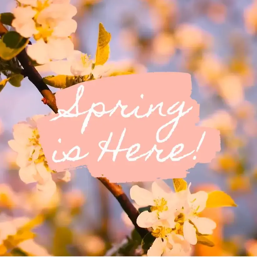 Laundry Works & Ultra Tanning thumbnail 8