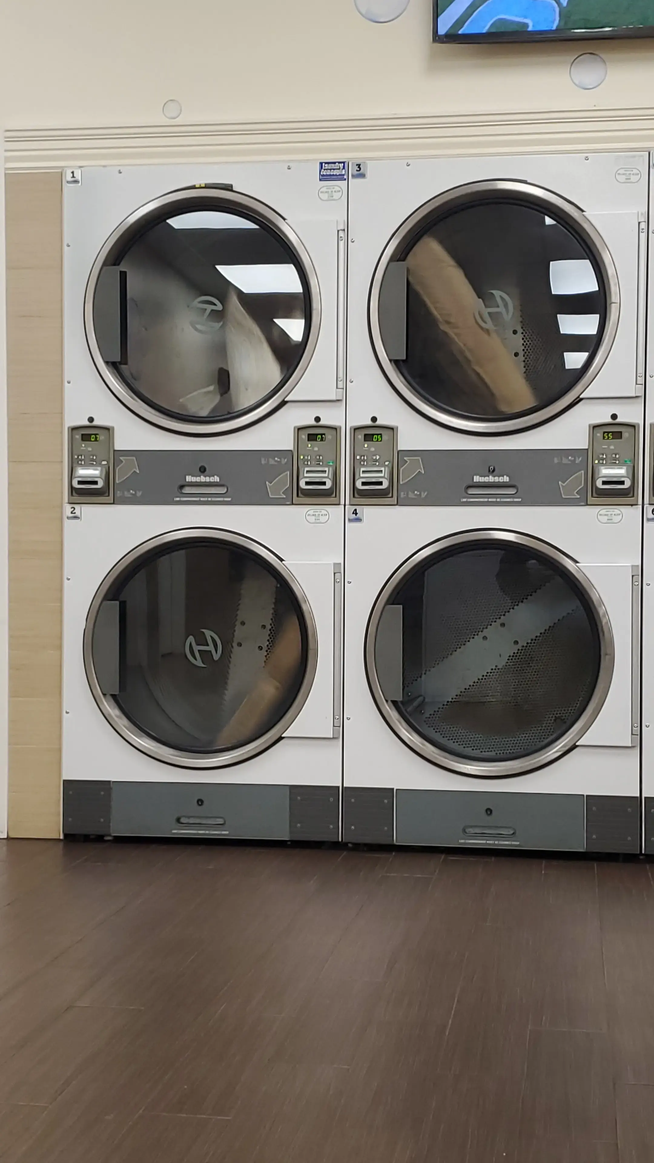 Laundry World - Image 6