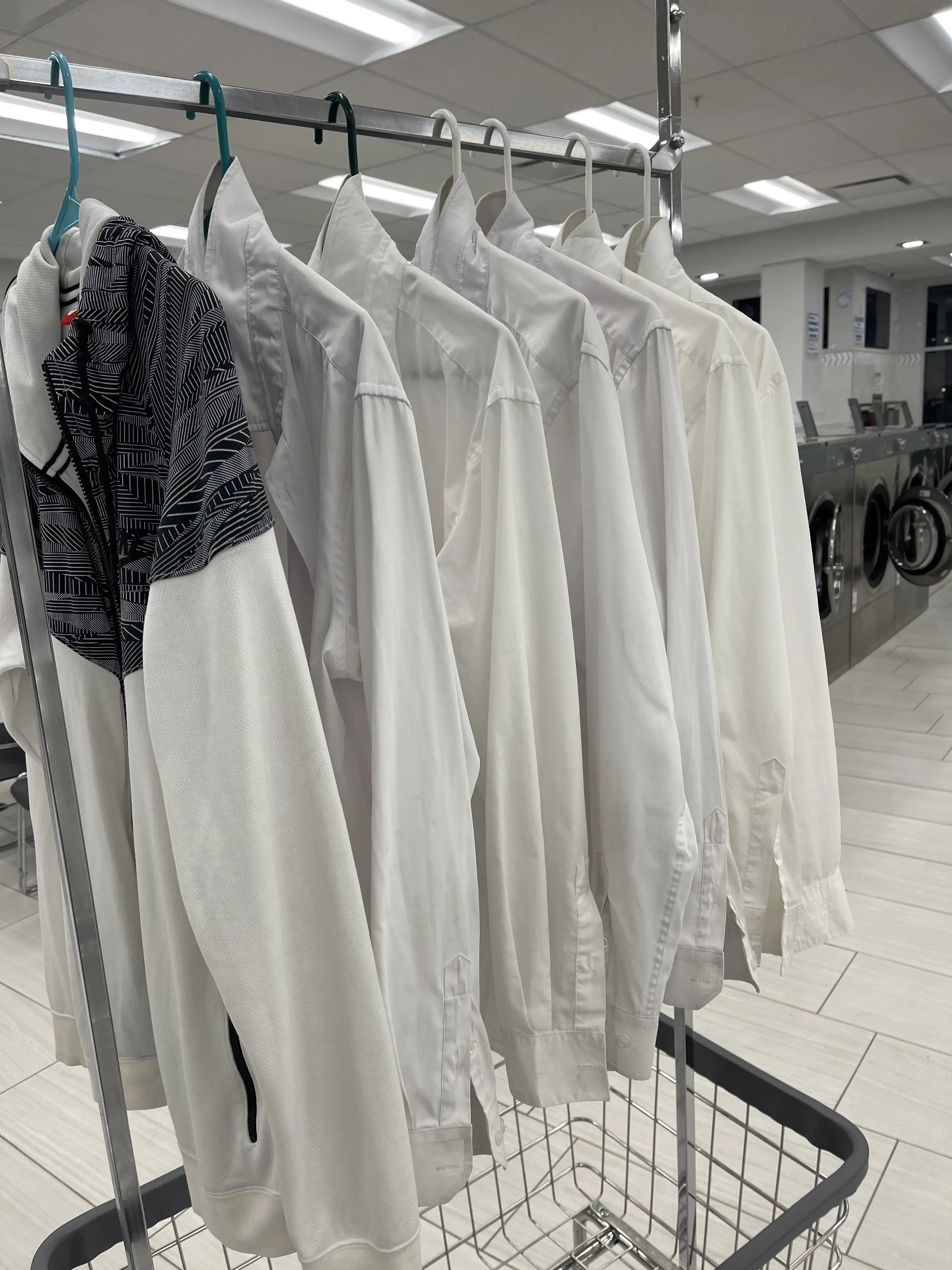 Laundry World thumbnail 5