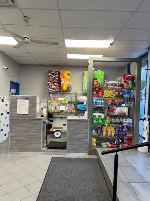 Laundry World - Image 6