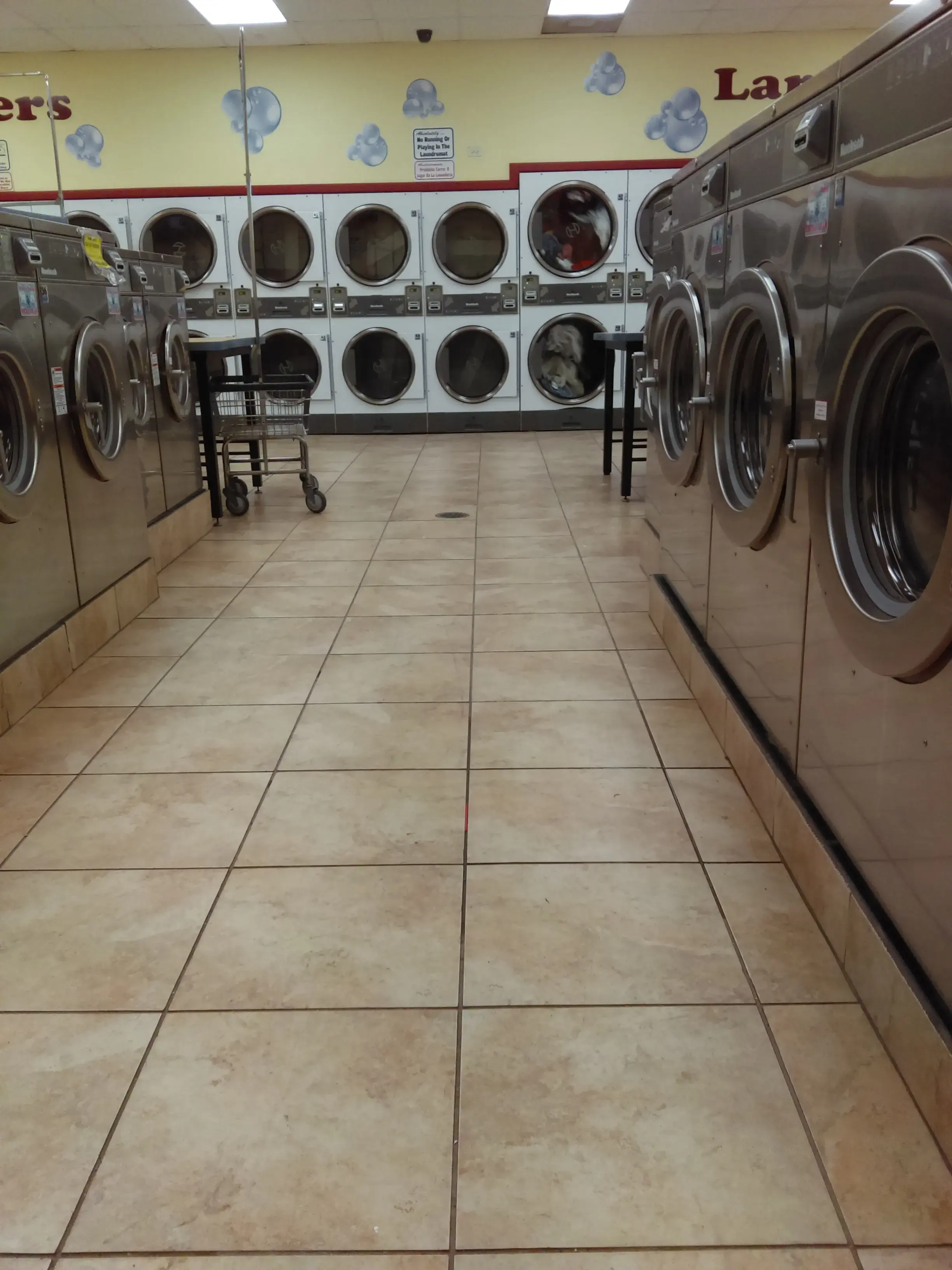 Laundry World thumbnail 3