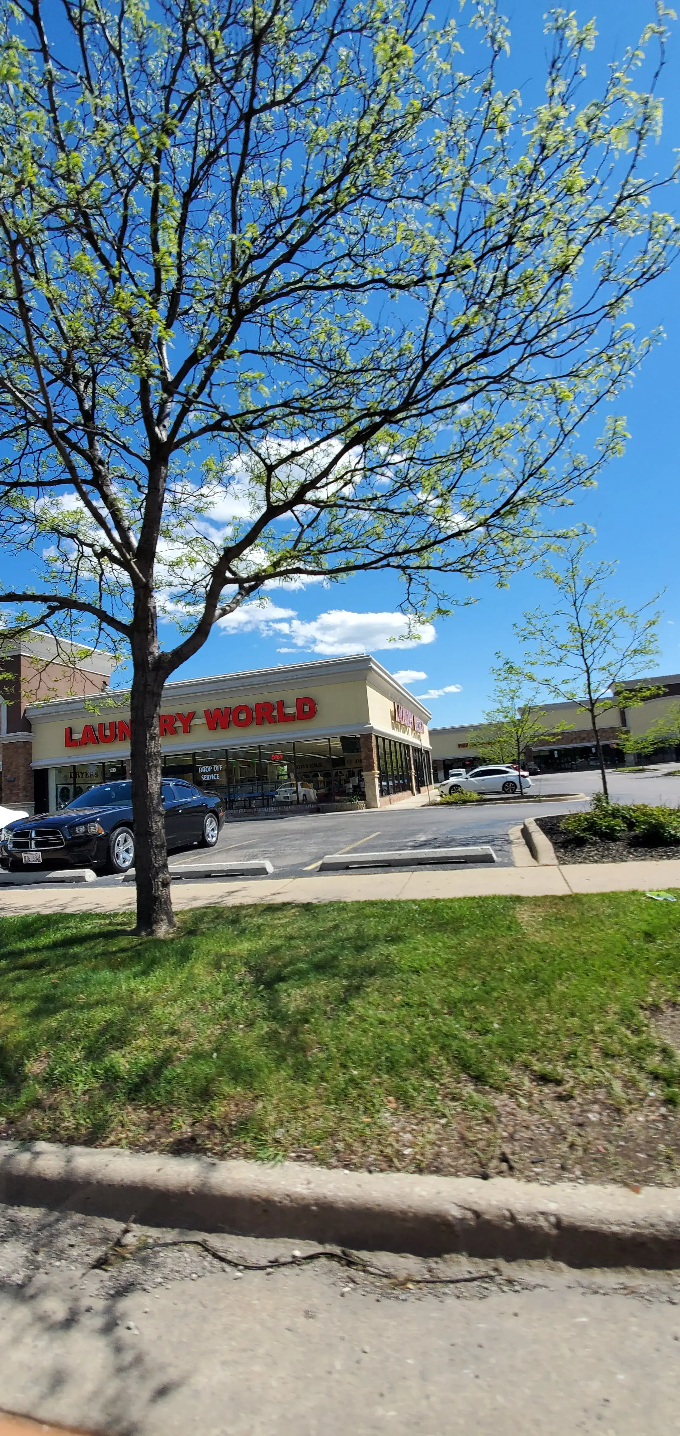 Laundry World - Image 1