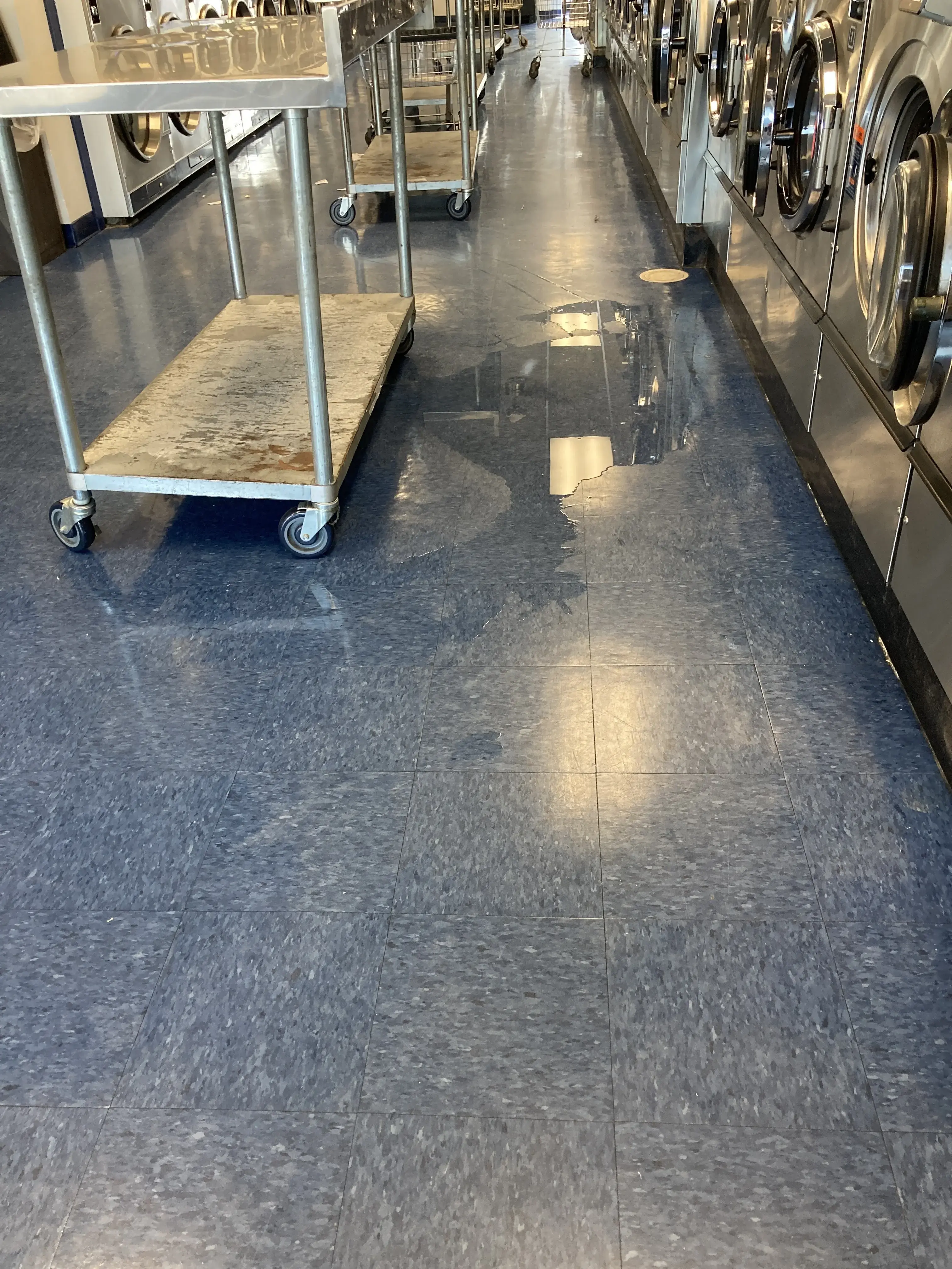 Laundry Zone - Image 2