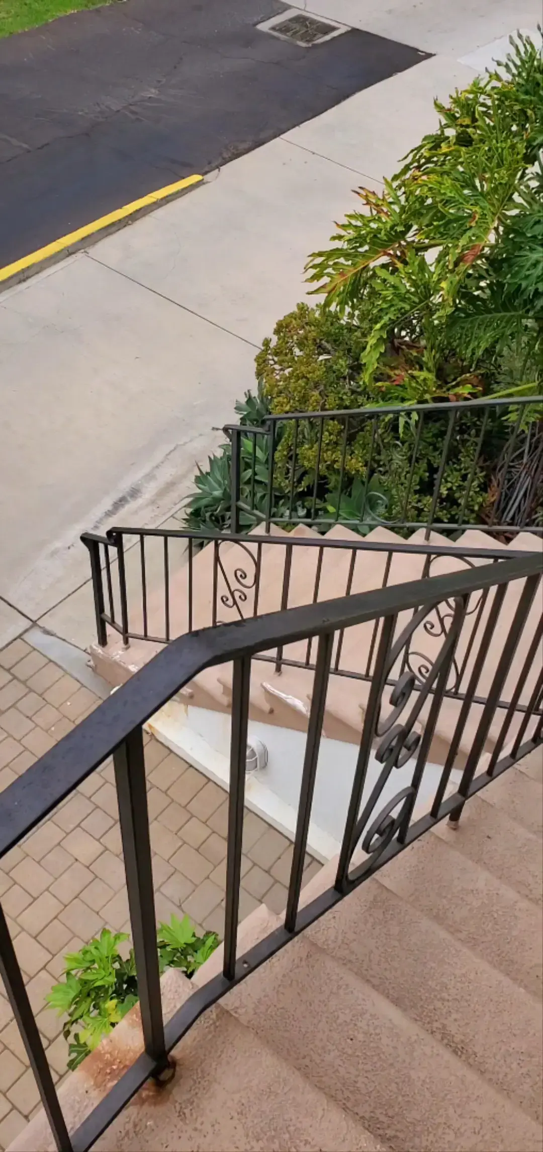 Laundryagogo - Image 1