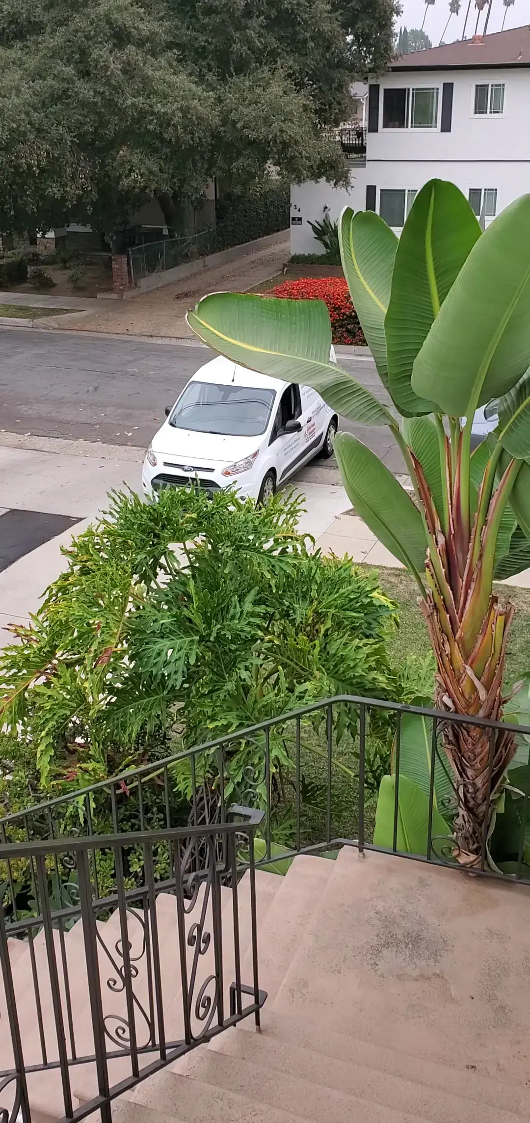 Laundryagogo - Image 7