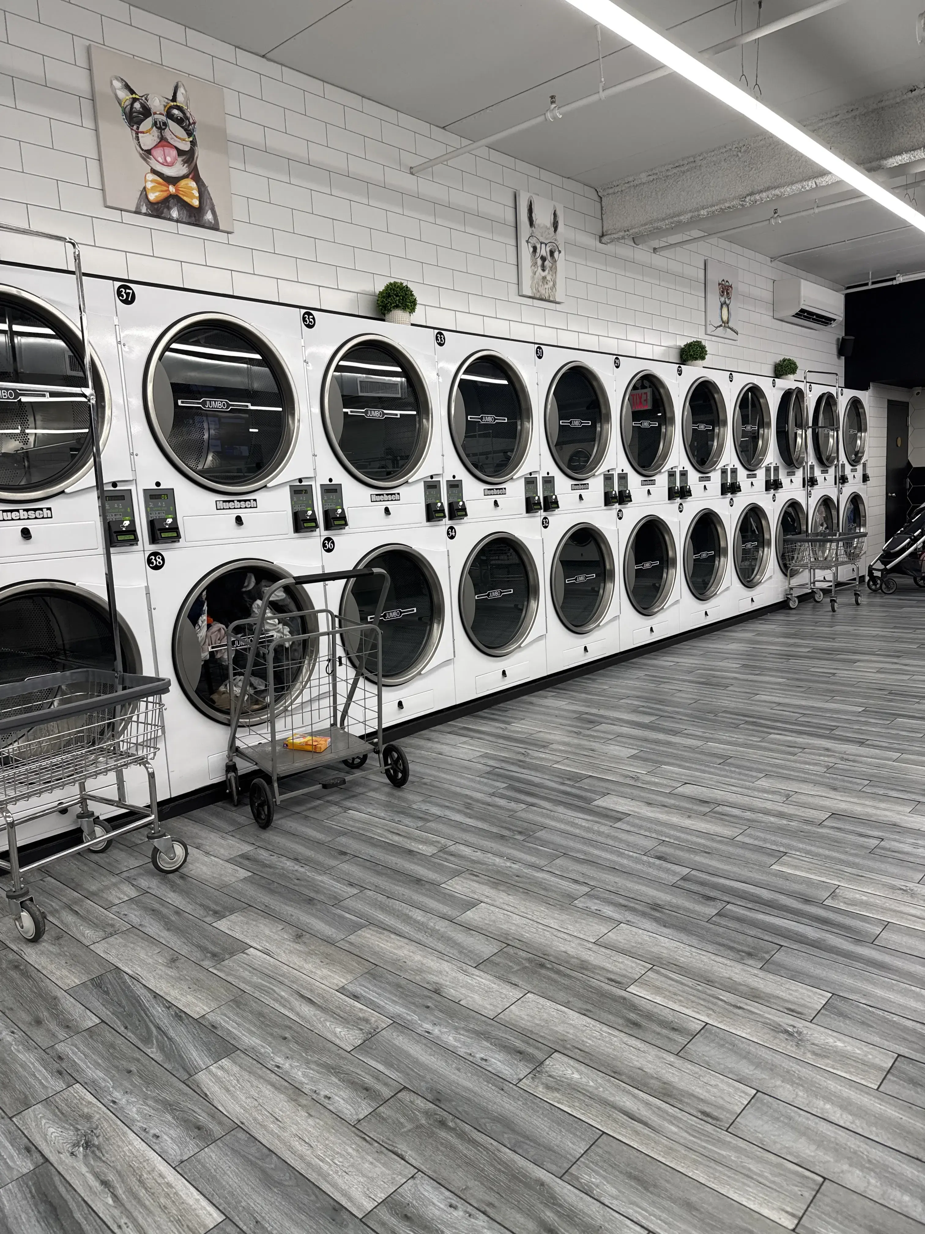 Laundrybee - Bronx thumbnail 5