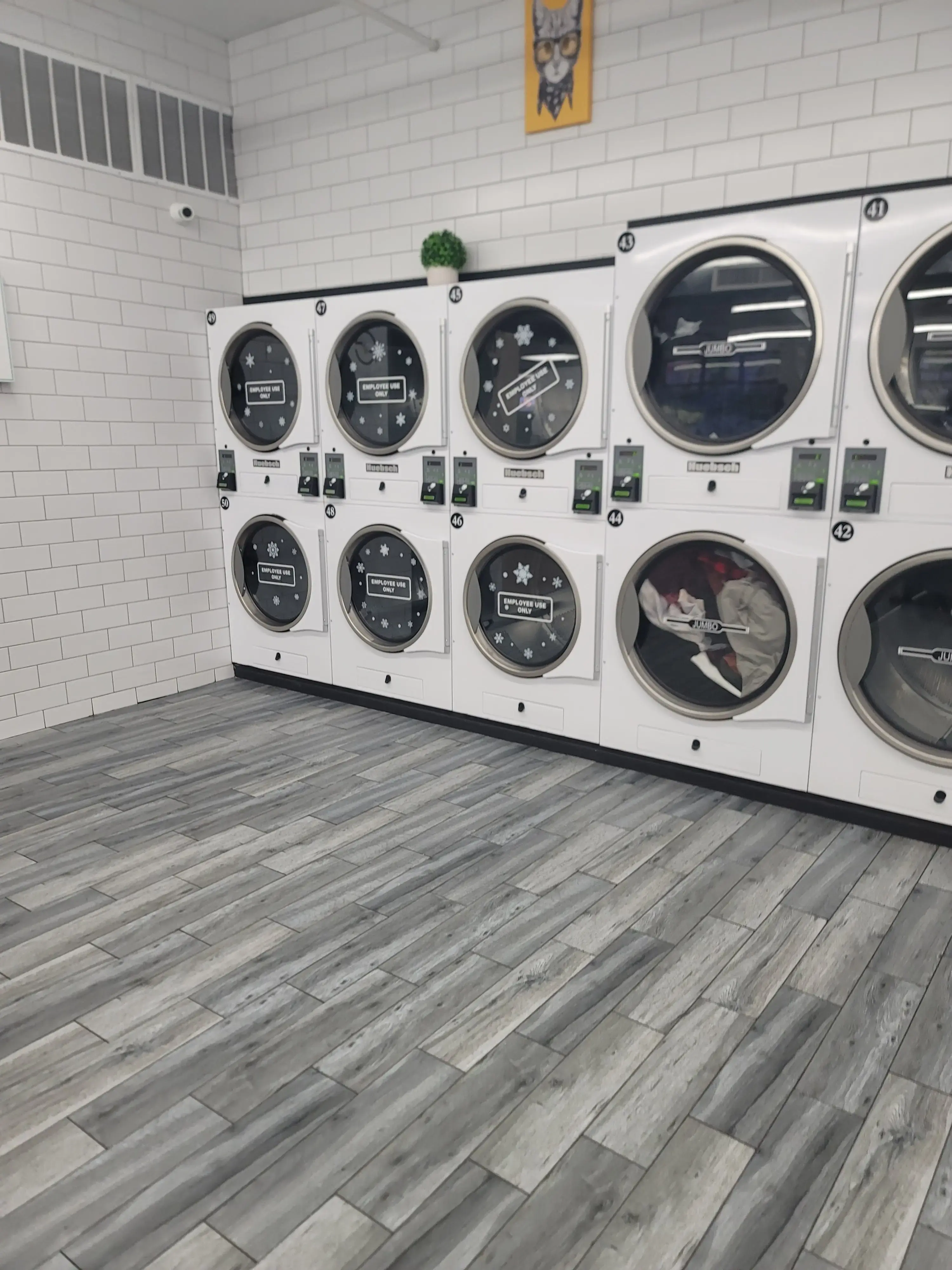 Laundrybee - Bronx thumbnail 12