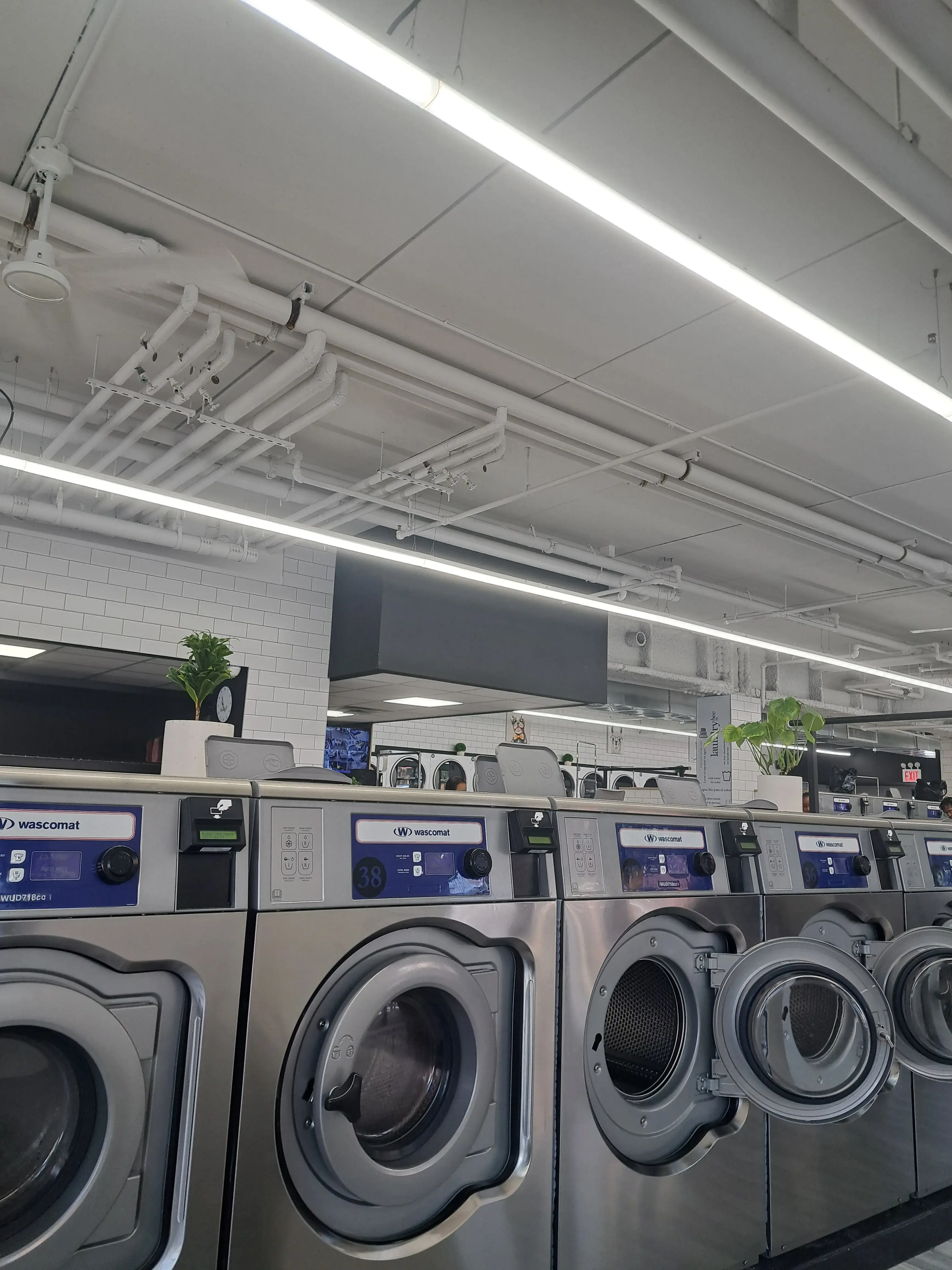 Laundrybee - Bronx thumbnail 9